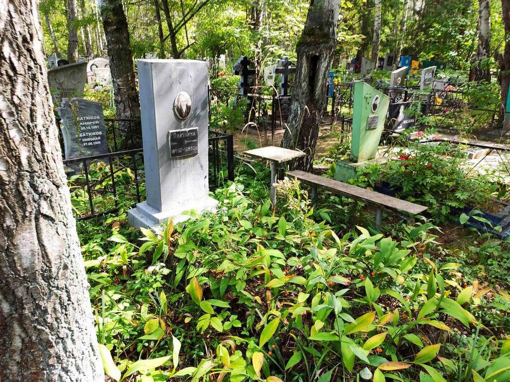Пикулина Елена Арсентьевна