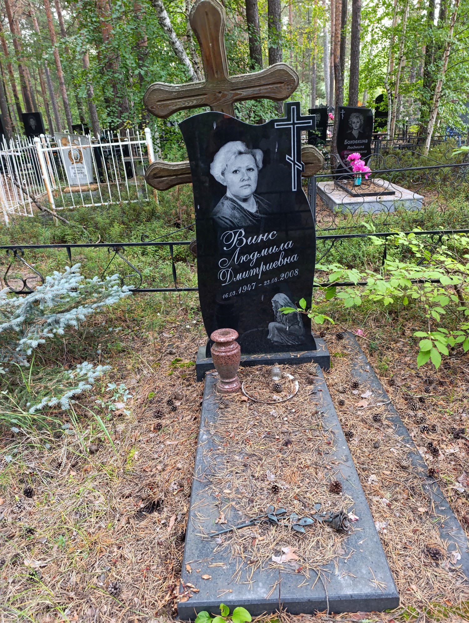 Винс Людмила Дмитриевна