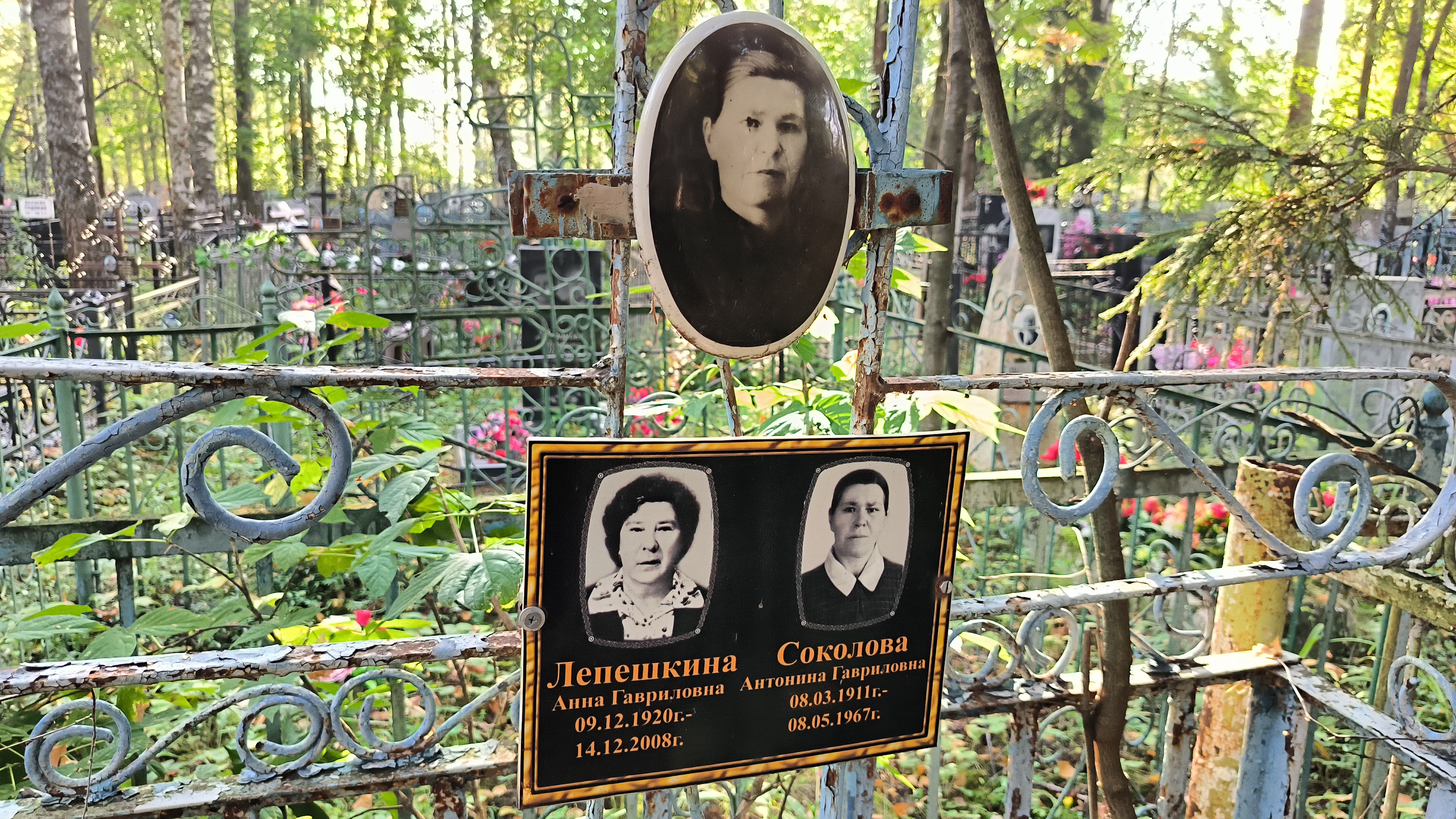 Соколова Антонина Гавриловна