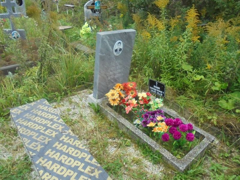 Левин Александр Евгеньевич