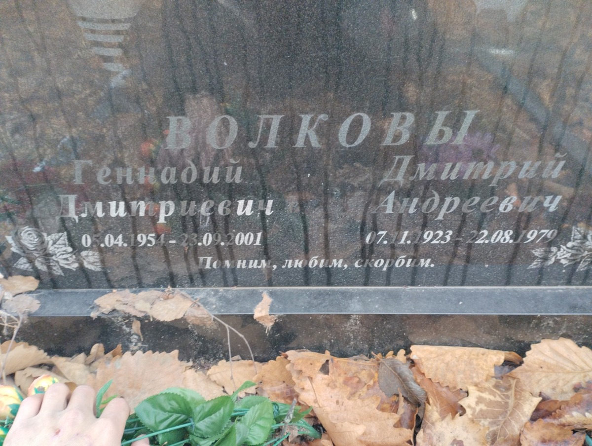 Волков Дмитрий Андреевич