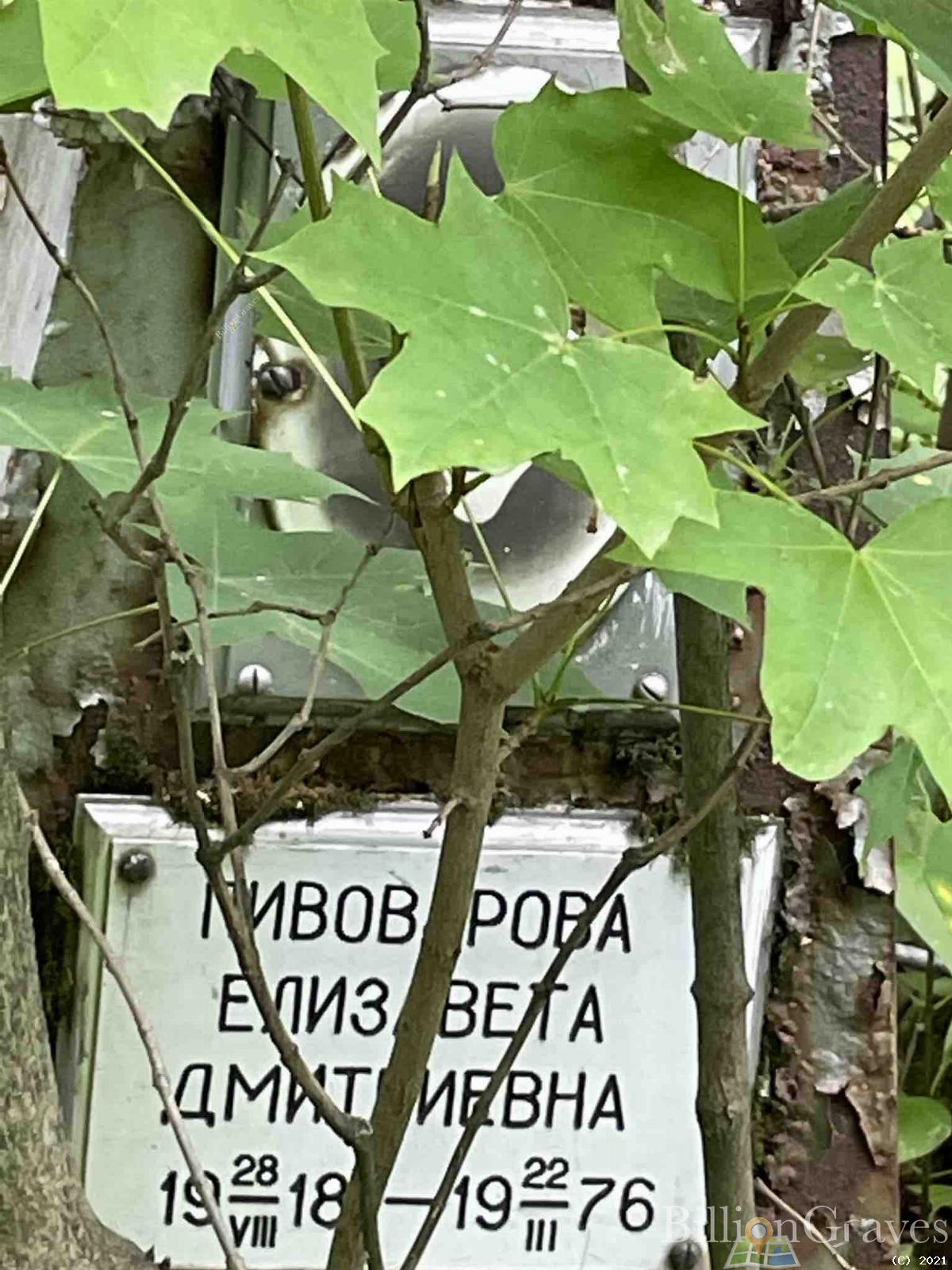 Пивоварова Елизавета Дмитриевна