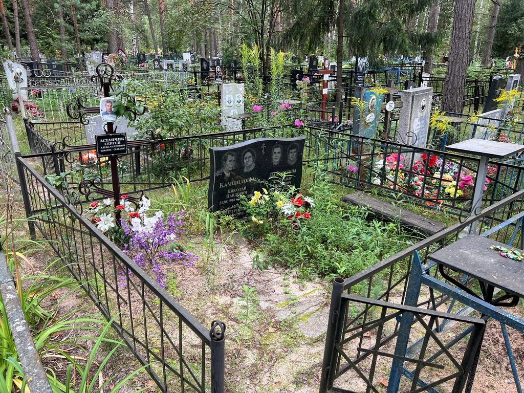 Ладонкина Татьяна Николаевна