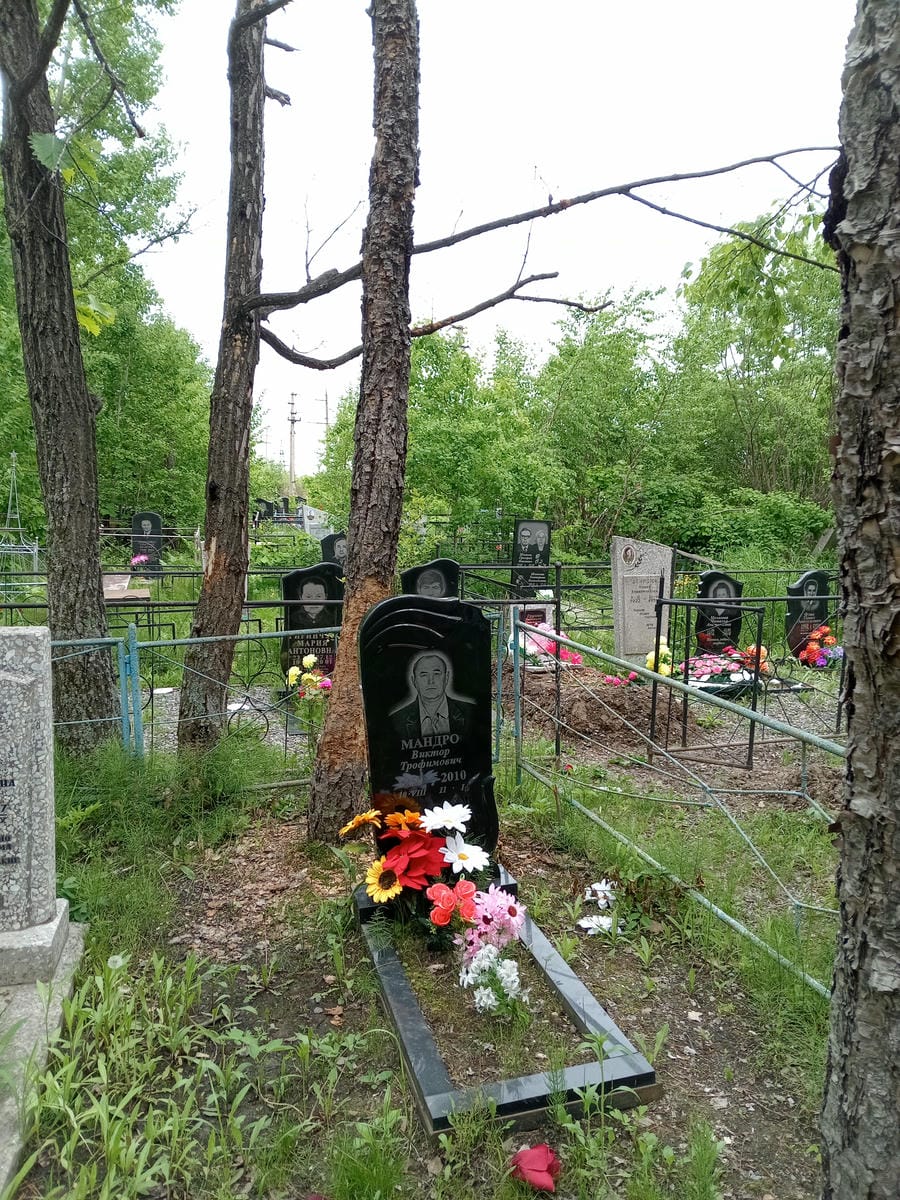 Мандро Виктор Трофимович