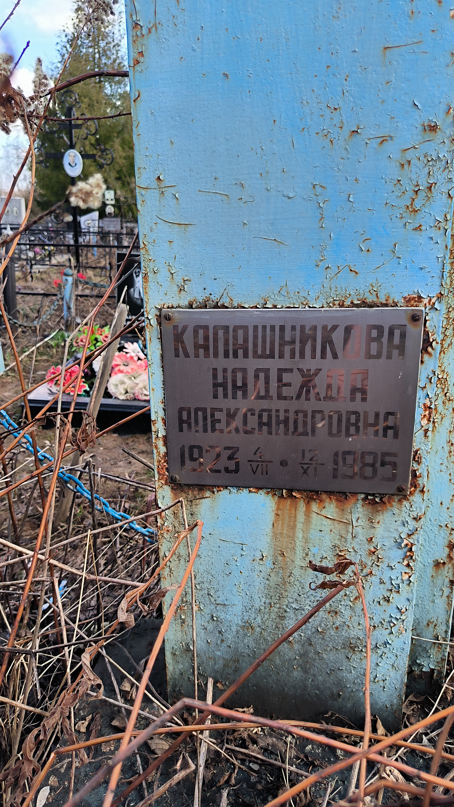 Калашникова Надежда Александровна
