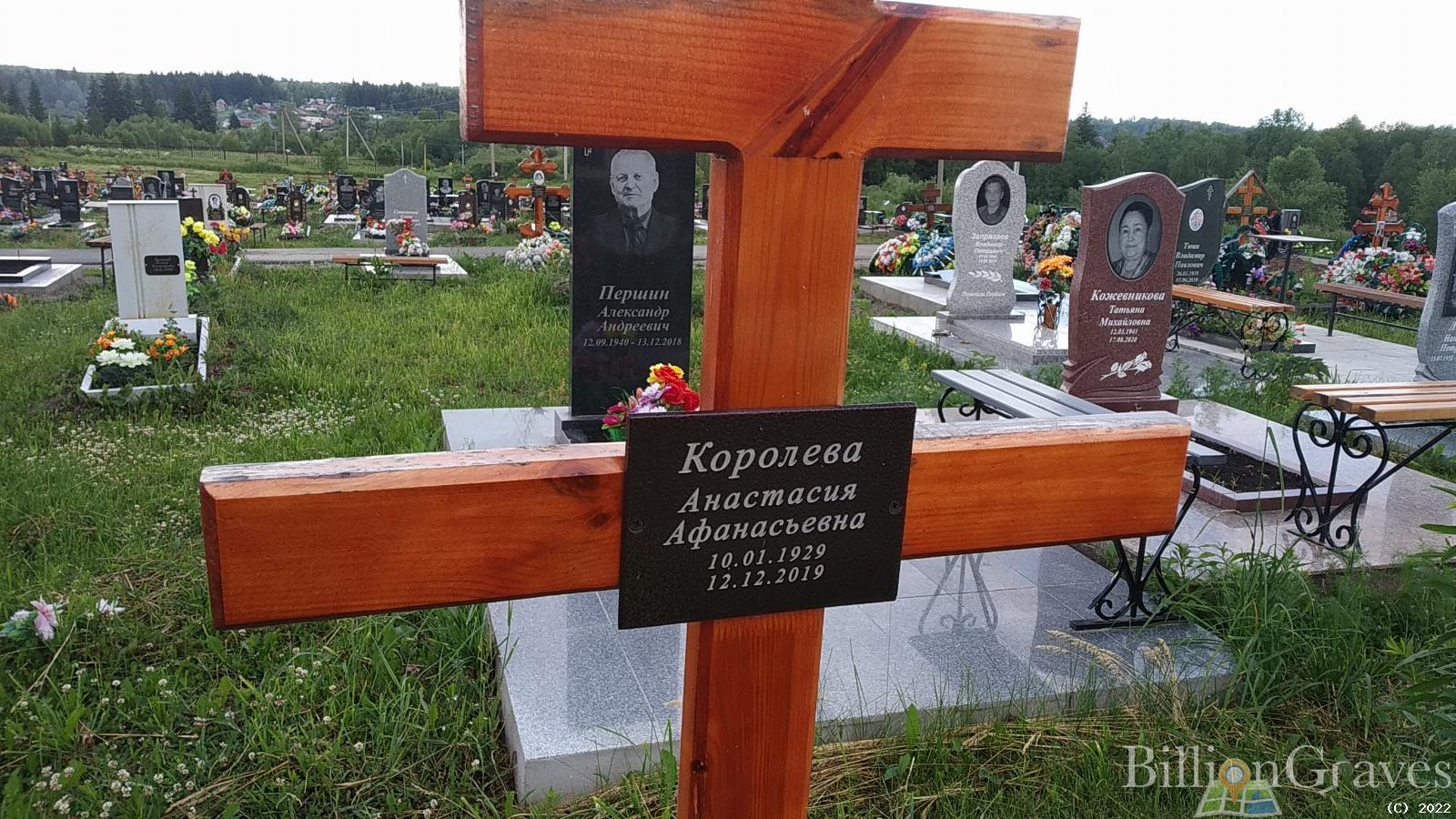 Королева Анастасия Афанасьевна