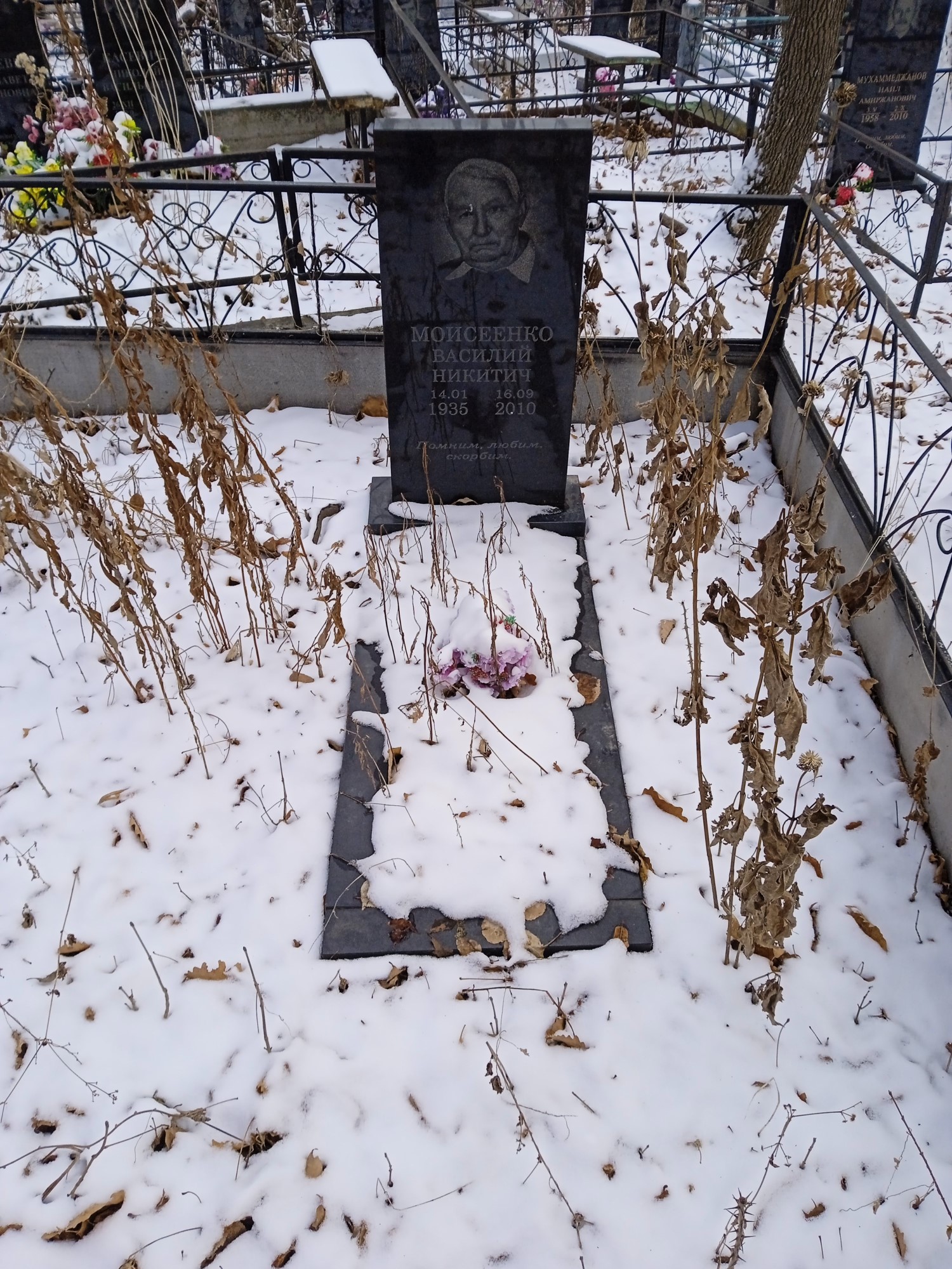 Моисеенко Василий Никитич