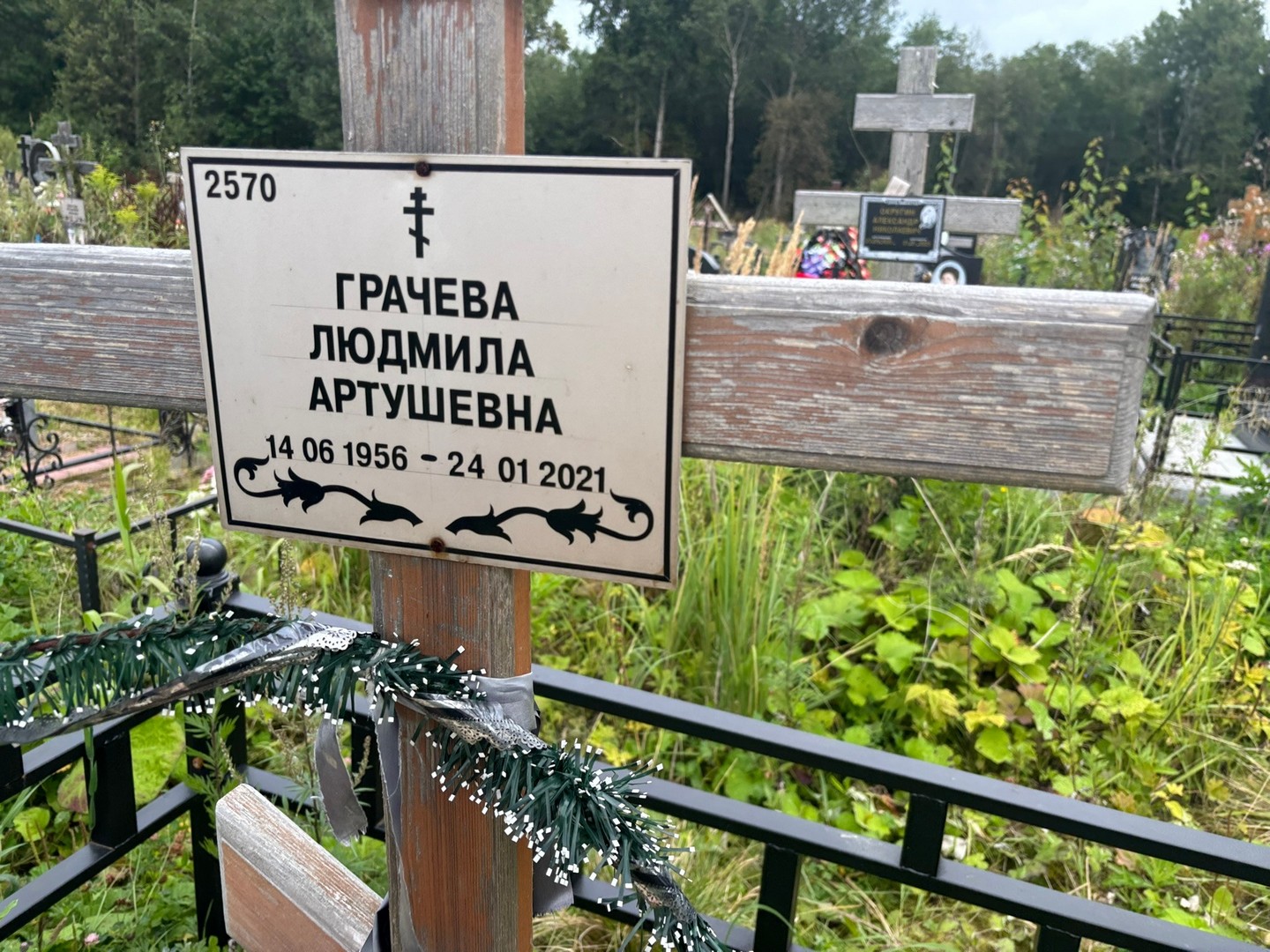 Грачева