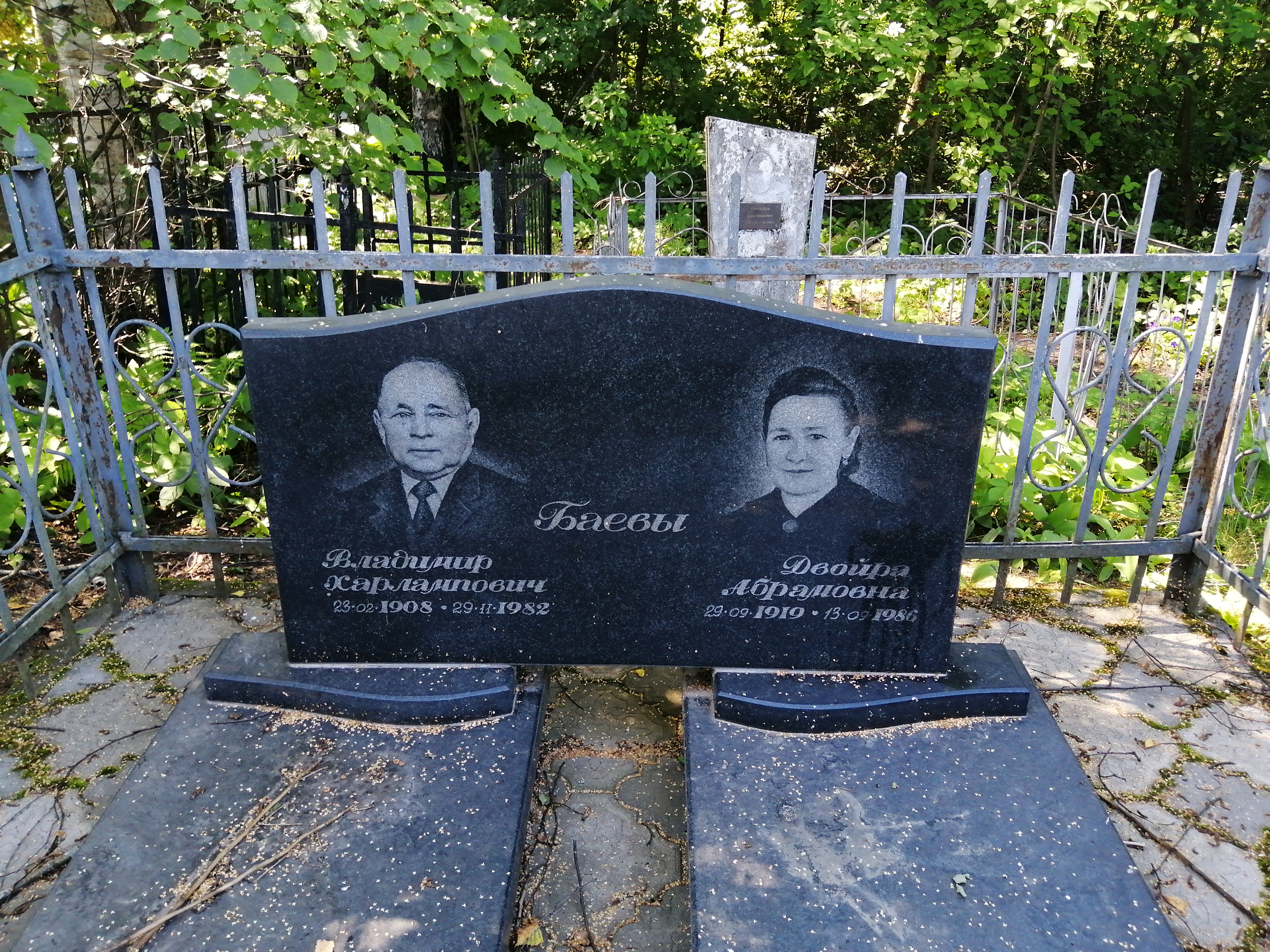 Баев Владимир Харлампович