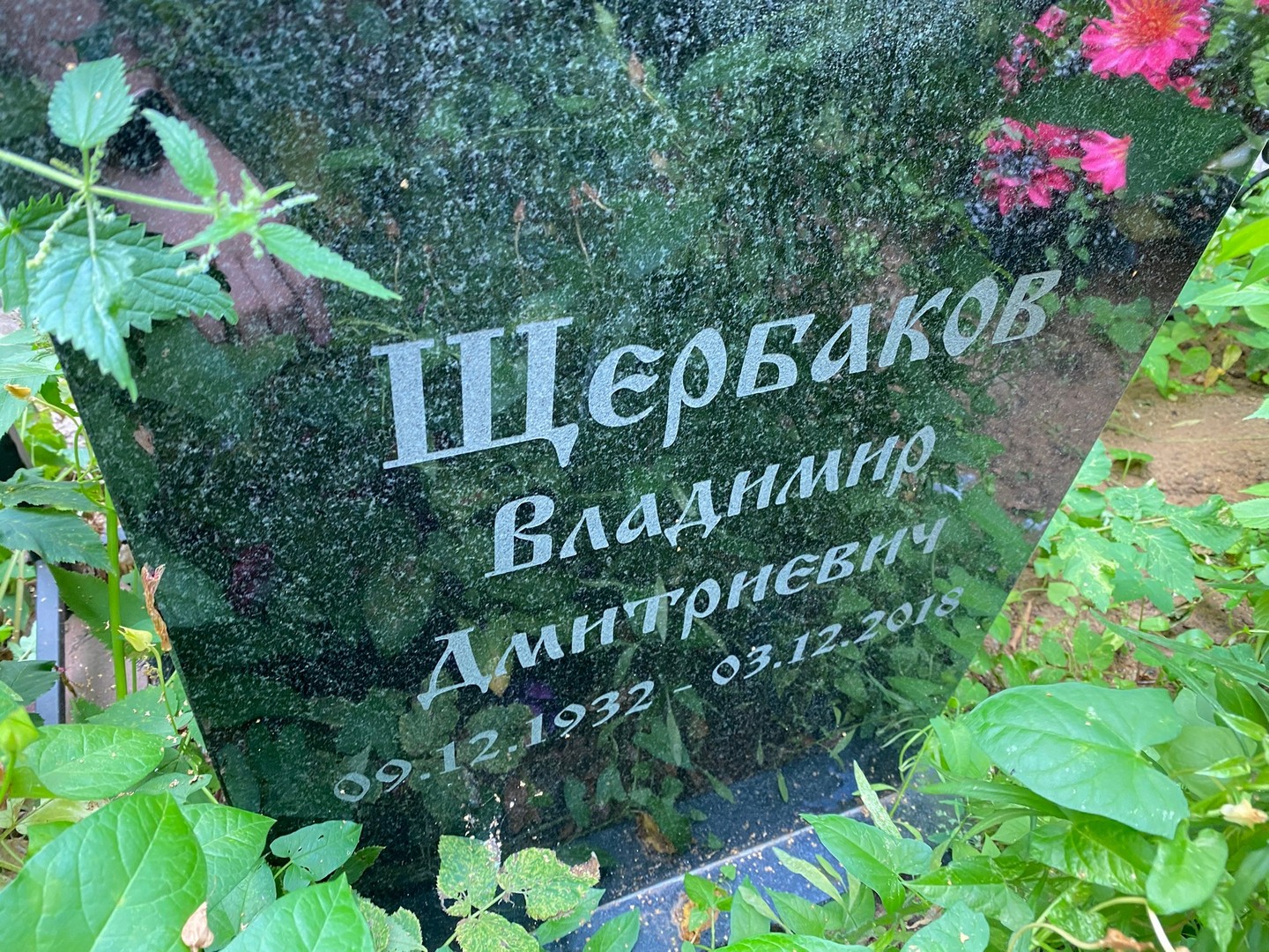 Щербаков