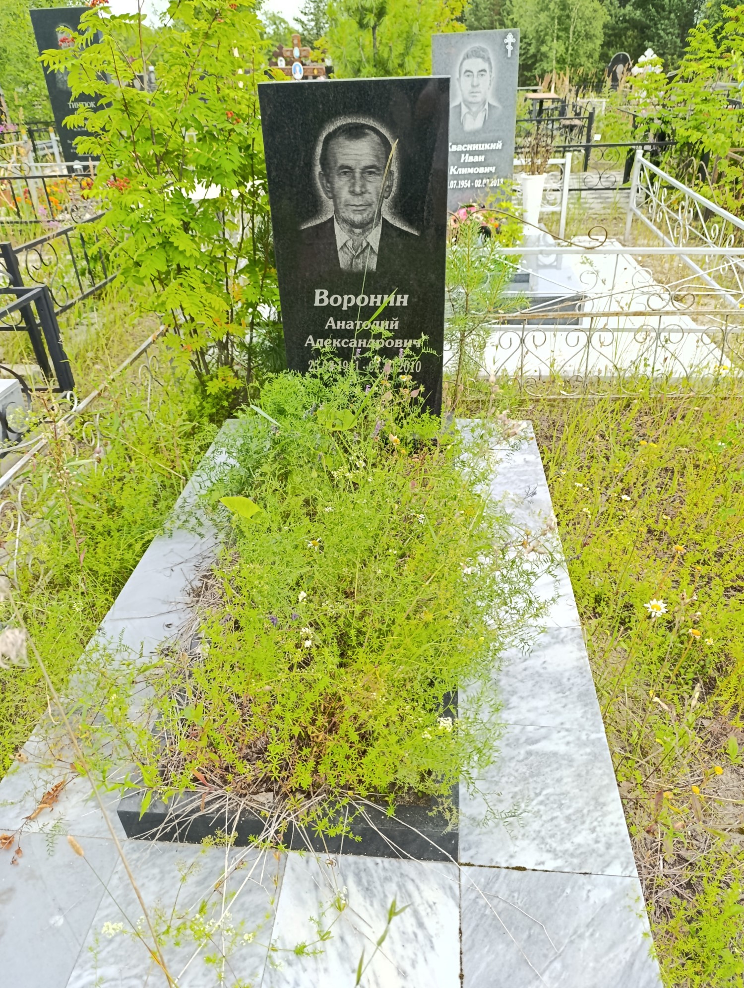 Воронин Анатолий Александрович
