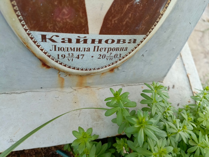 Кайнова