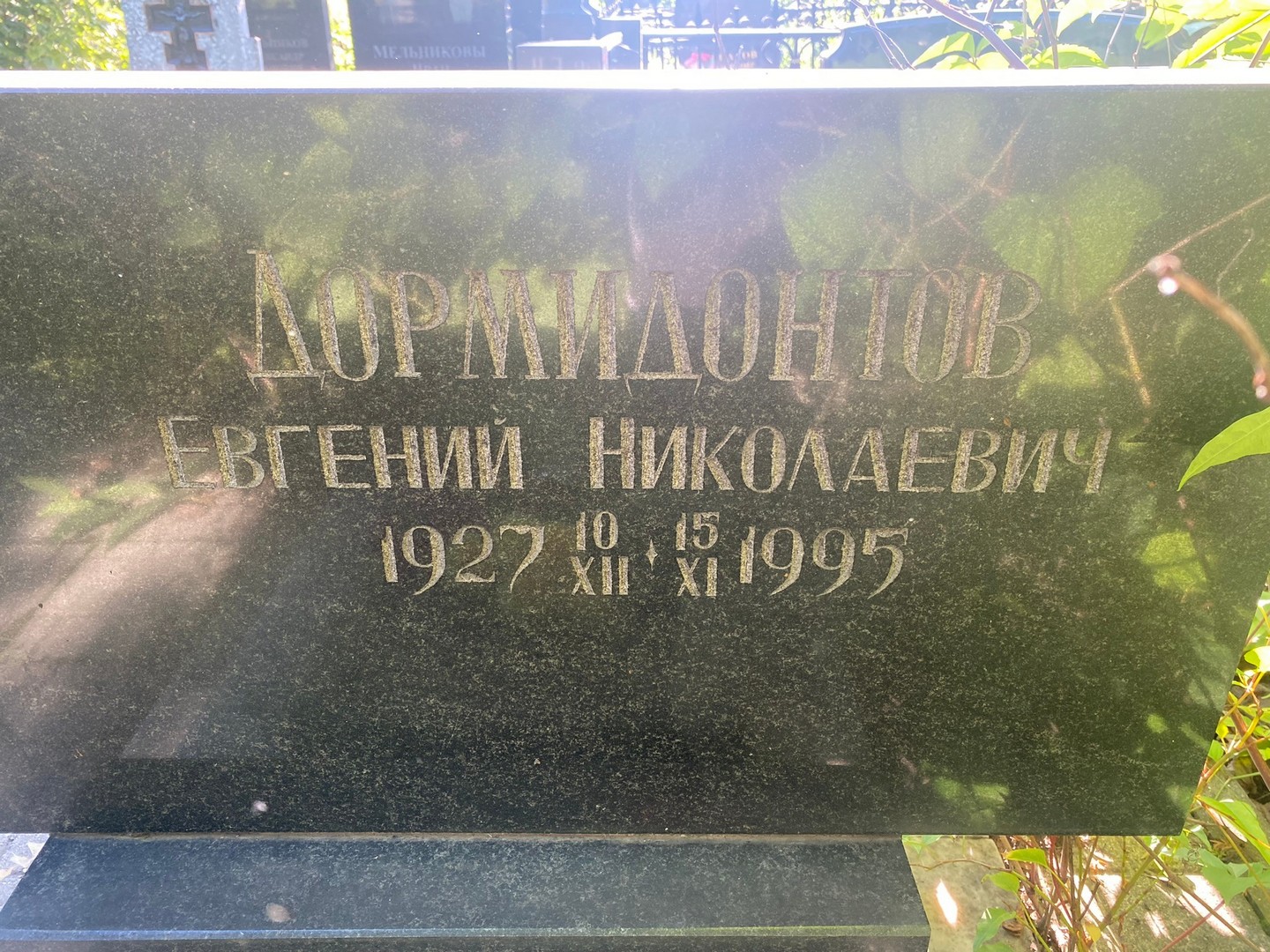 Дормидонтов