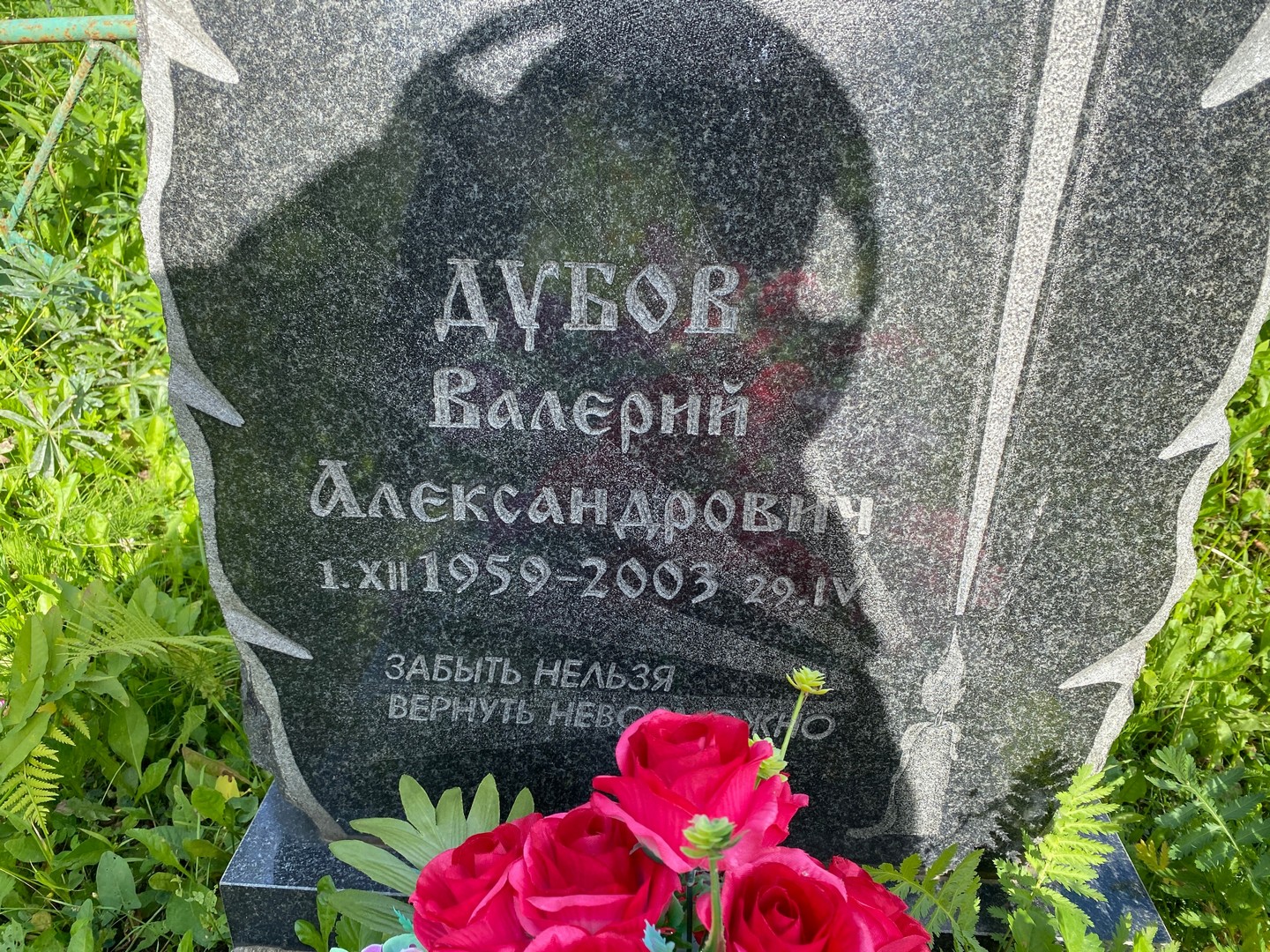 Дубов