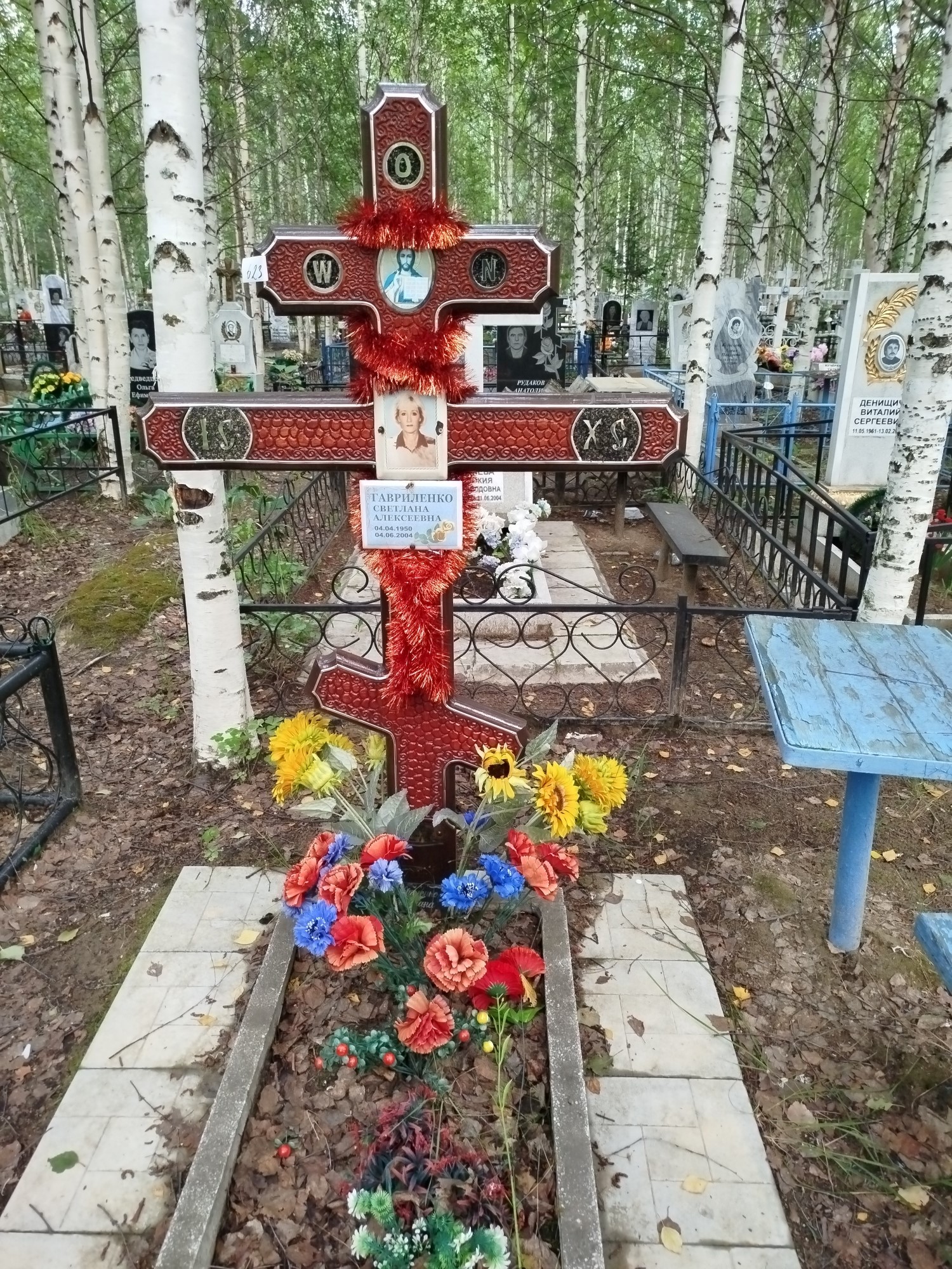 Гавриленко Светлана Алексеевна