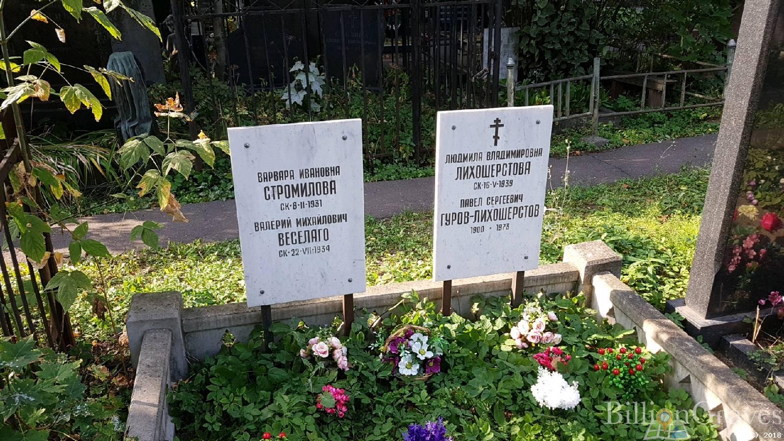 Веселаго Валерий Михайлович
