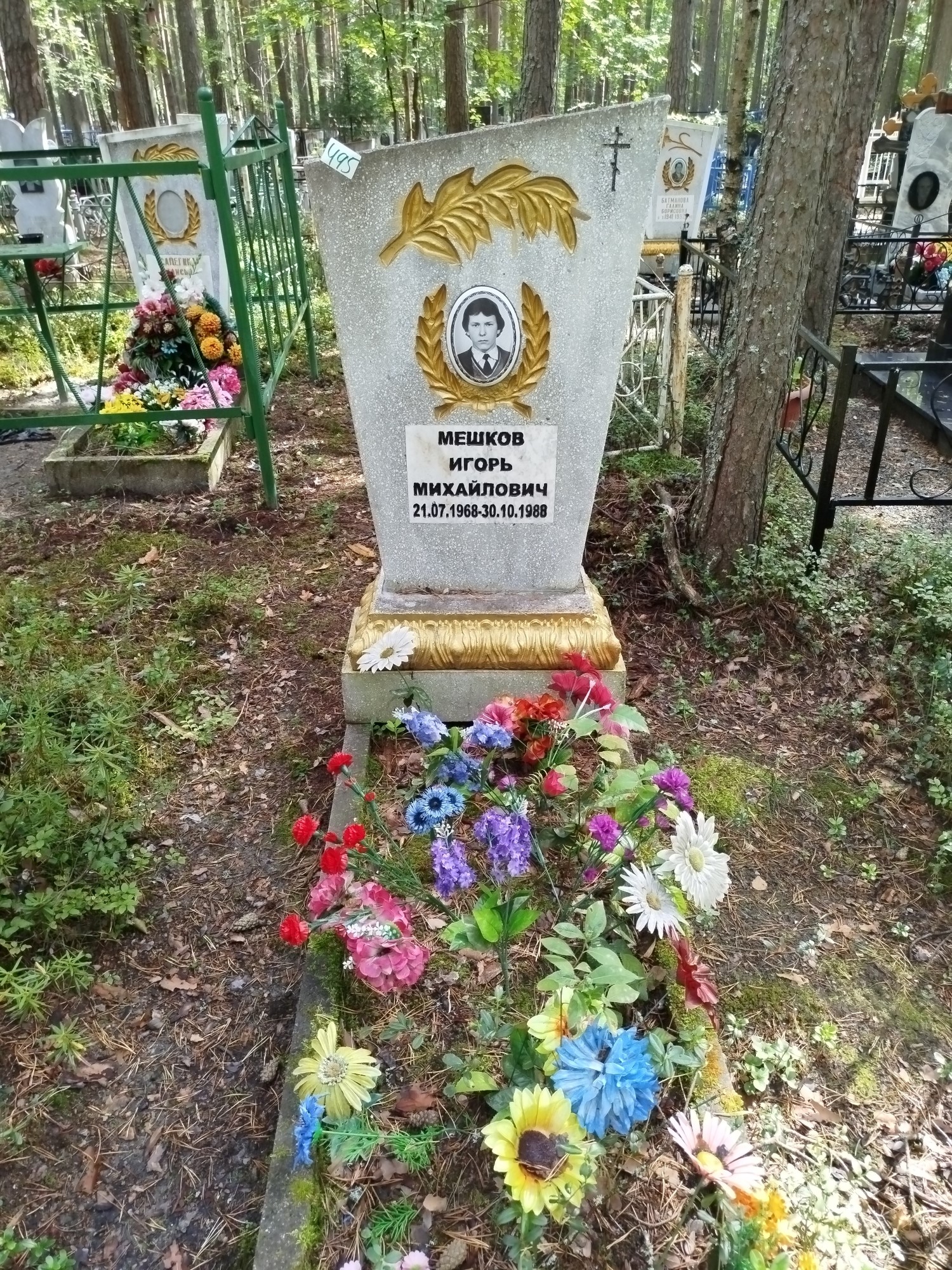 Мешков Игорь Михайлович