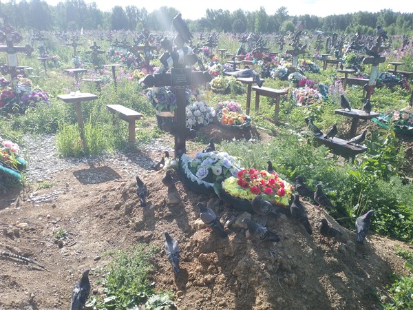 Ромашкин Александр Сергеевич