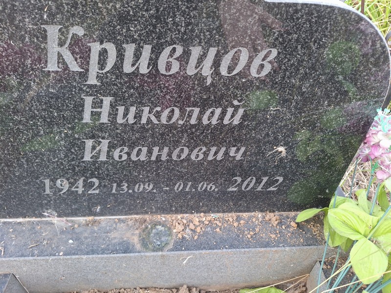 Кривцов