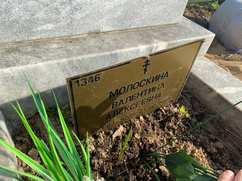 Молоскина