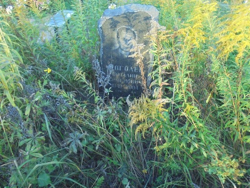 Фоголев Виталий Семенович