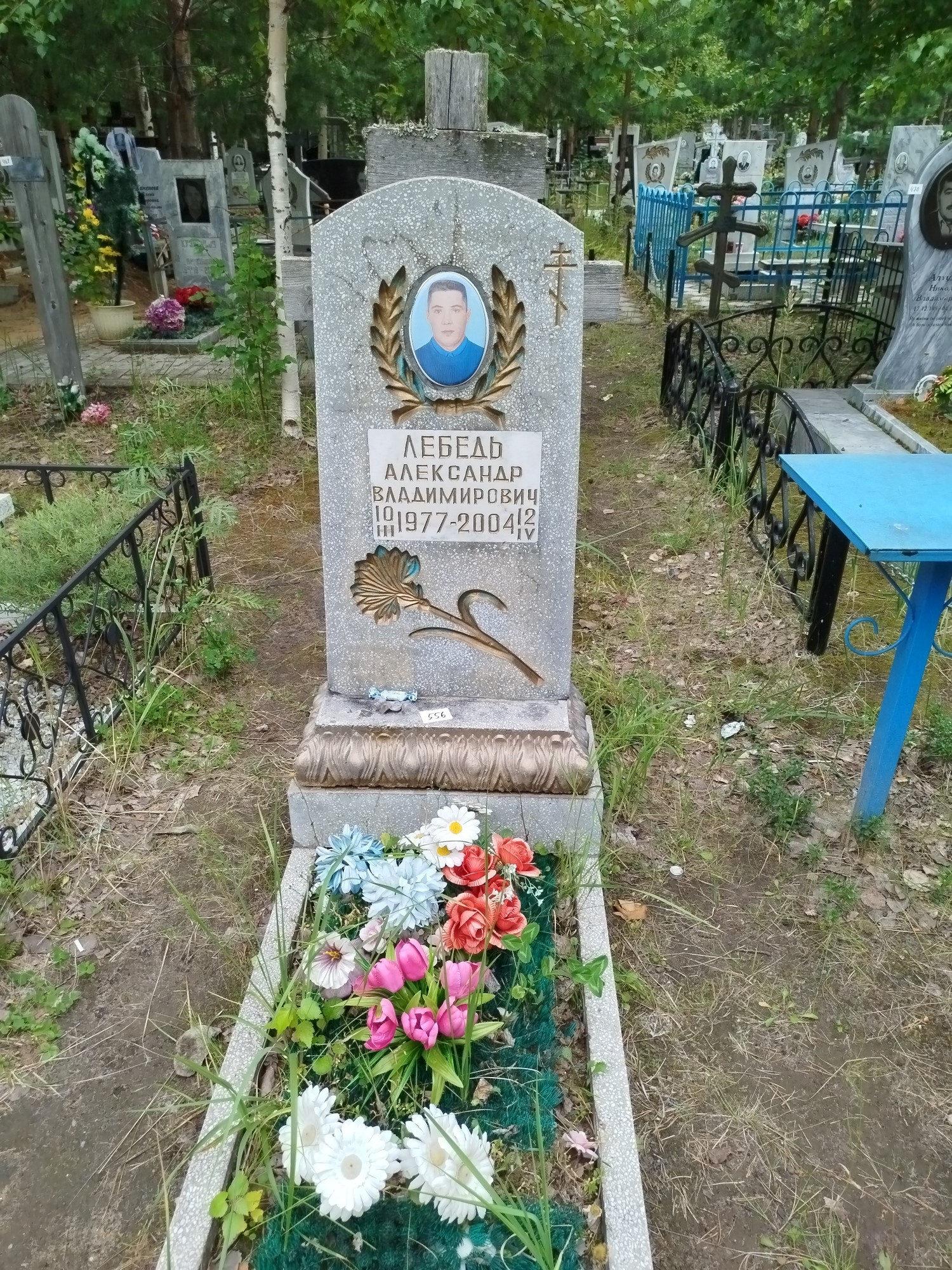 Лебедь Александр Владимирович