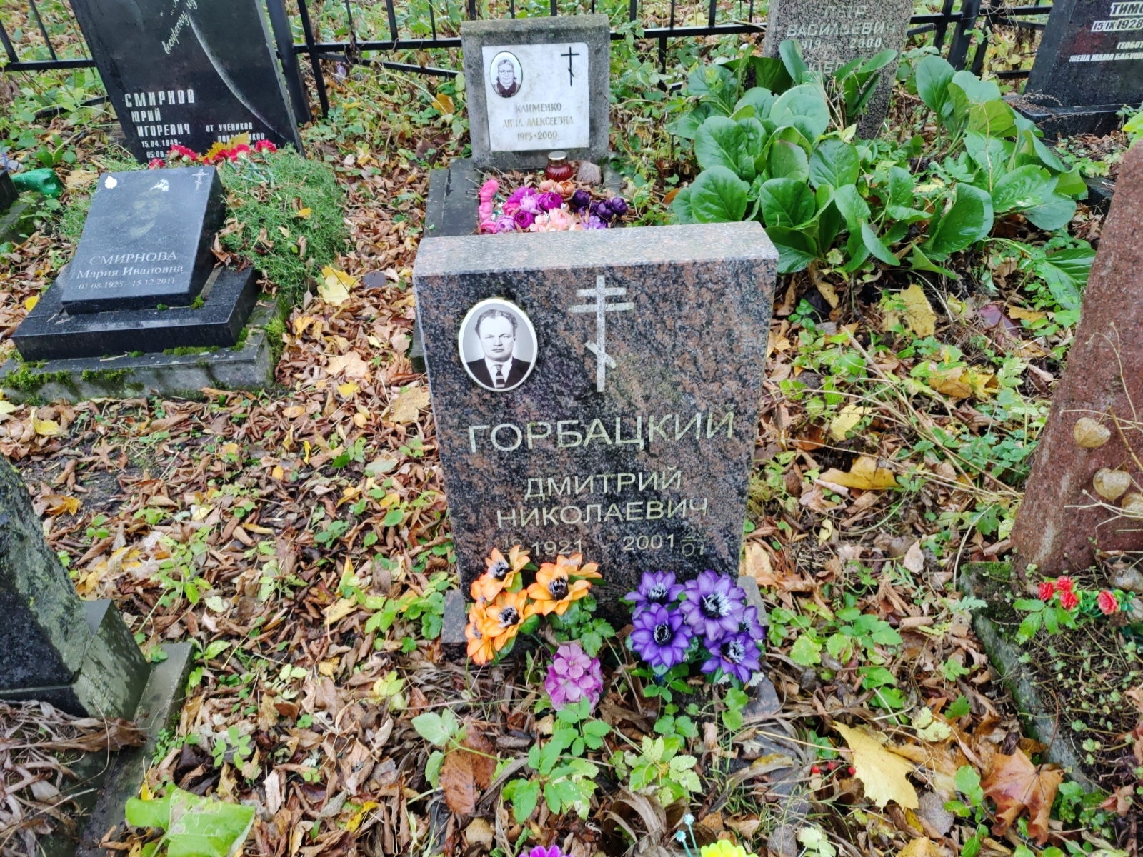 Горбацкий Дмитрий Николаевич