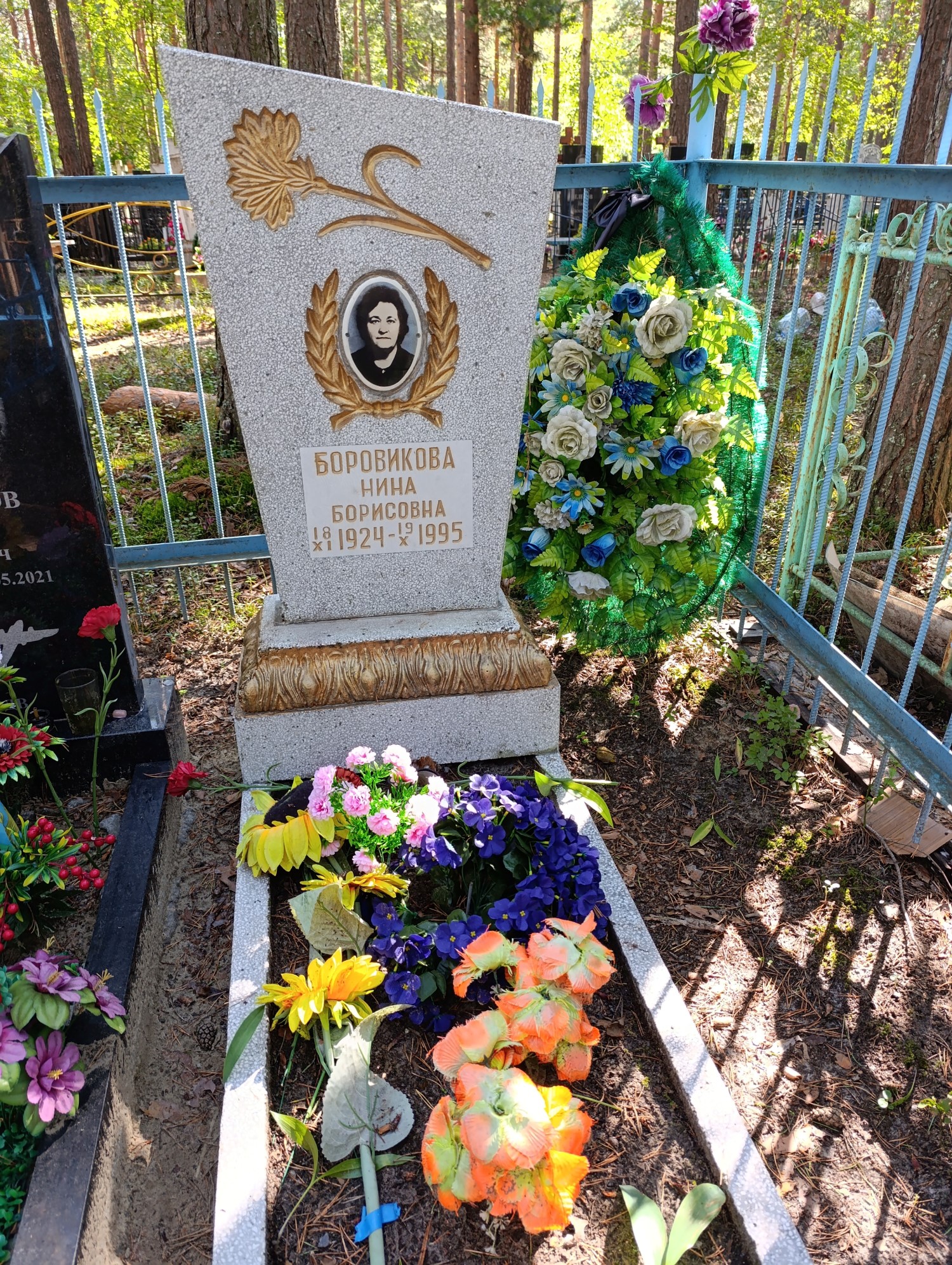 Боровикова Нина Борисовна
