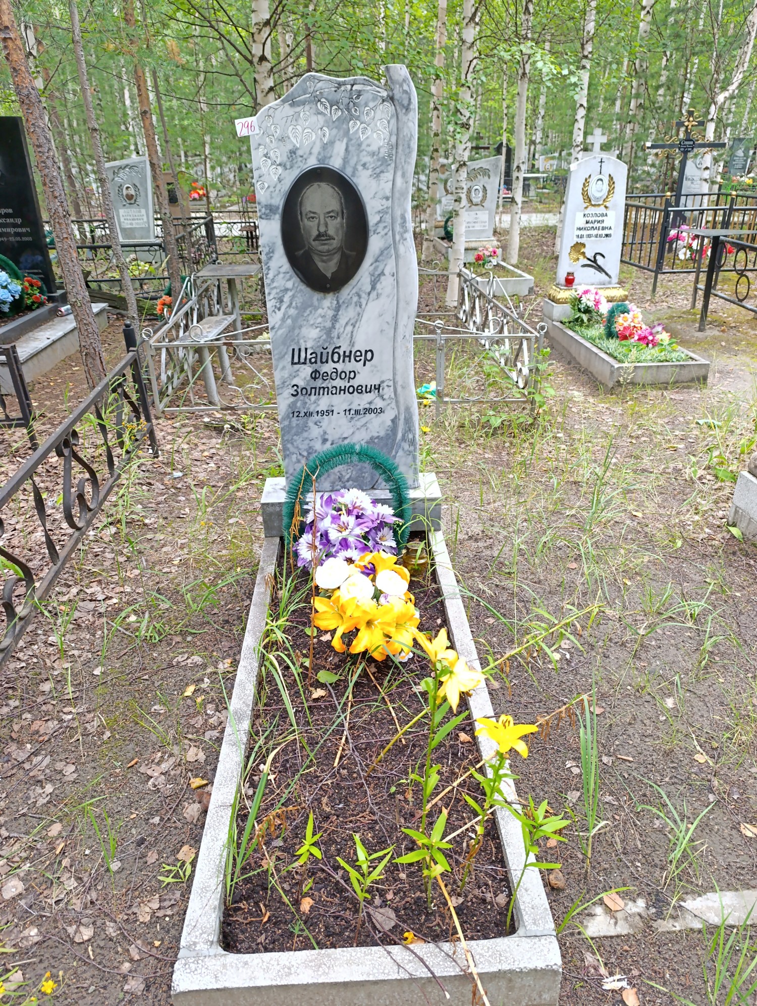 Шайбнер Федор Золтанович