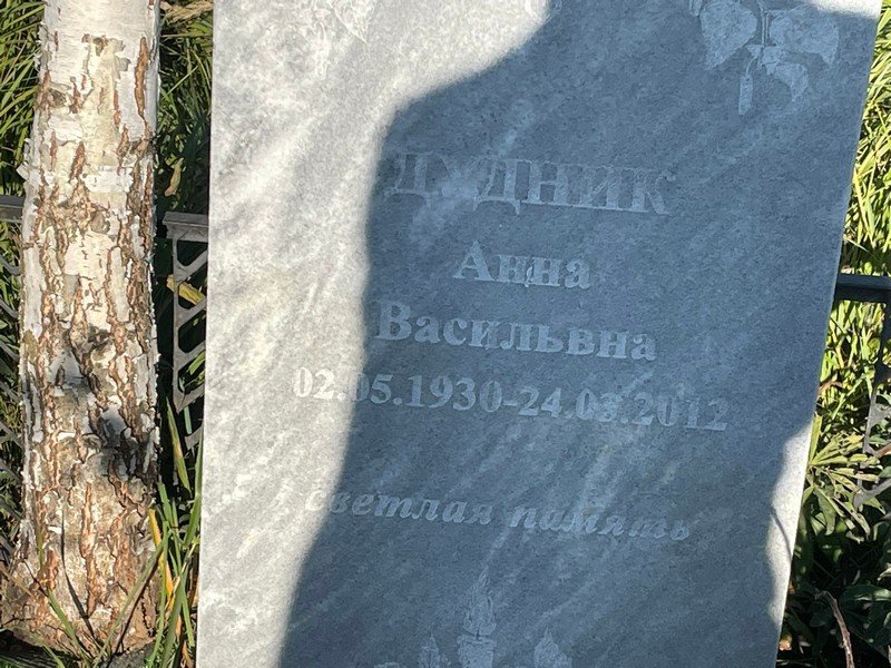 Дудник