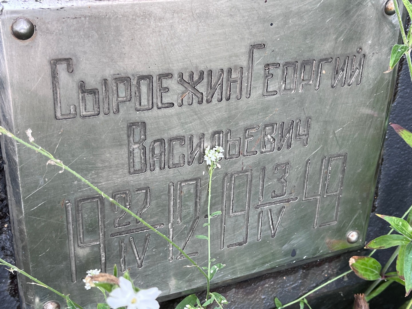 Сыроежин