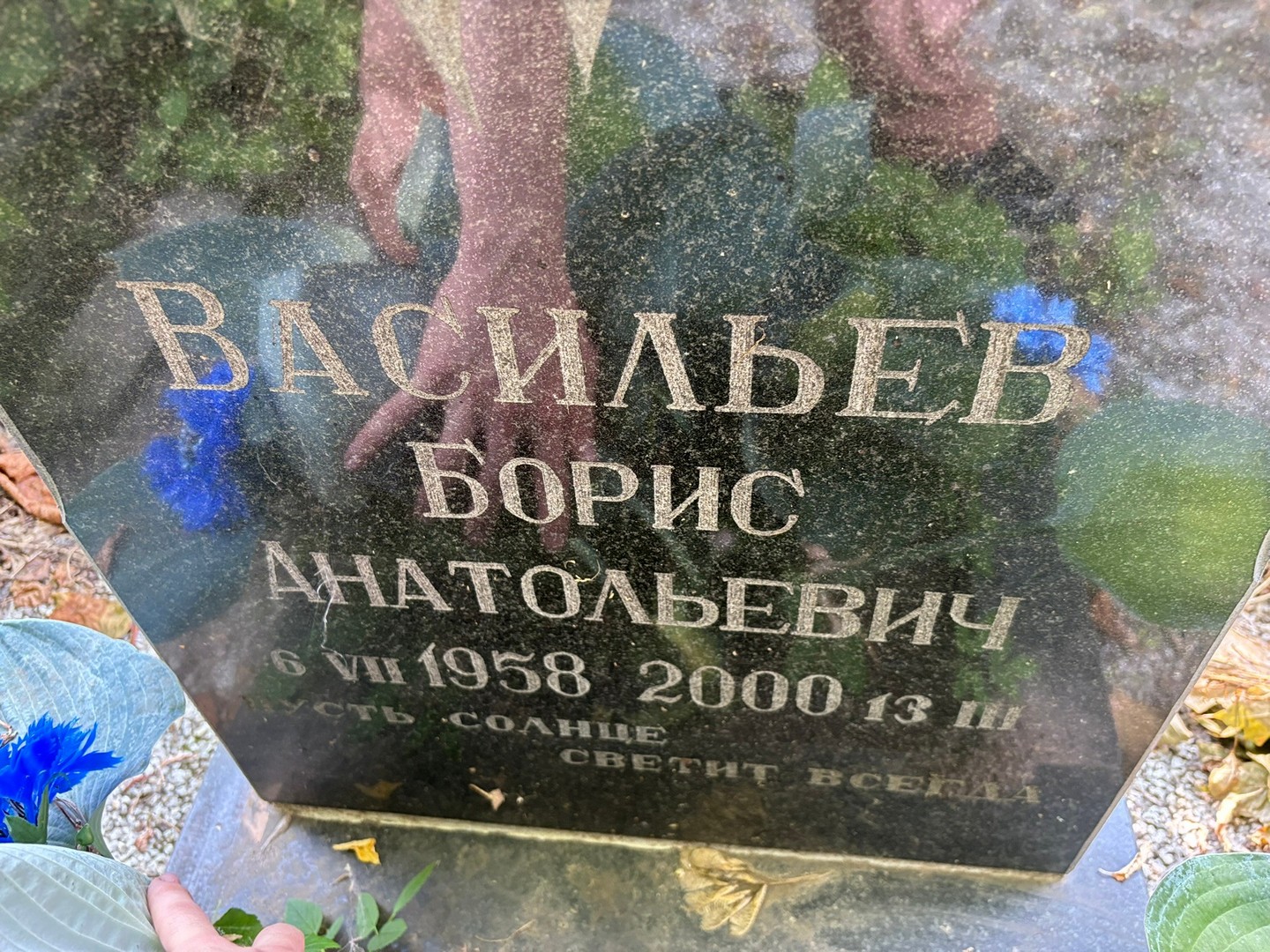 Васильев