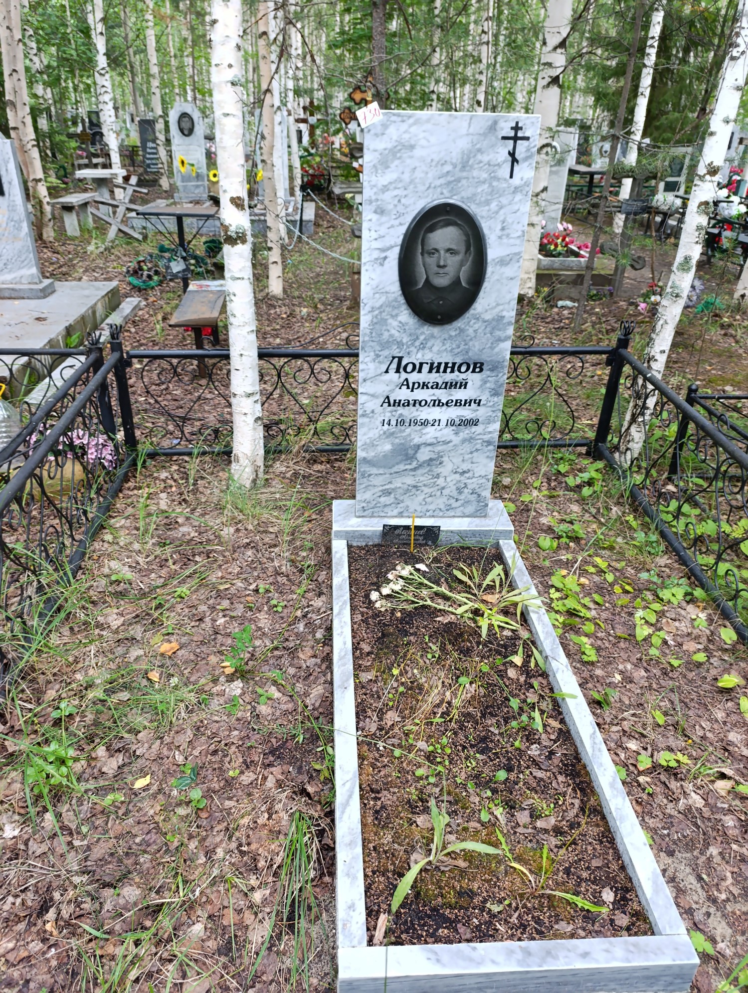 Логинов Аркадий Анатольевич