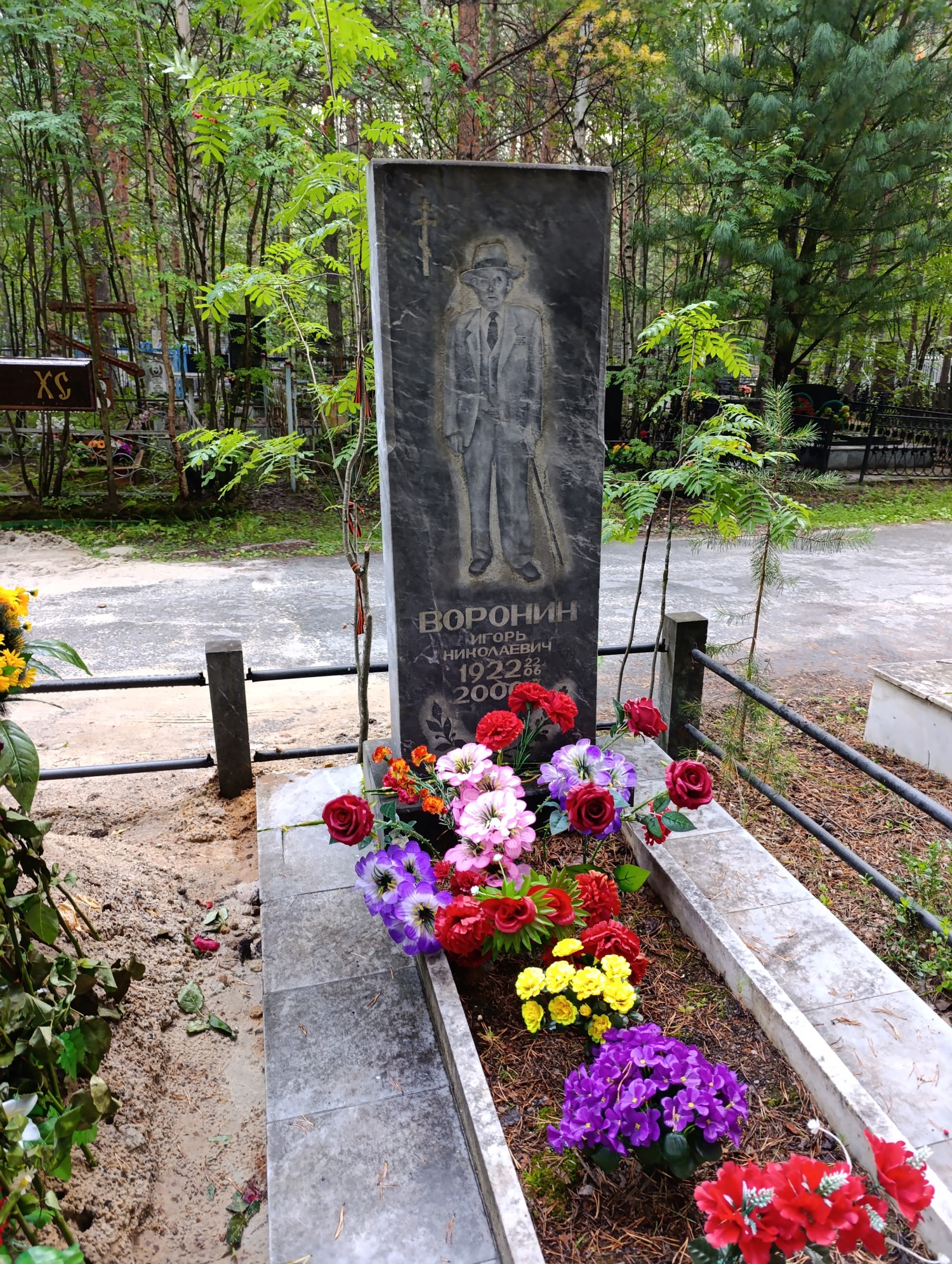 Воронин Игорь Николаевич