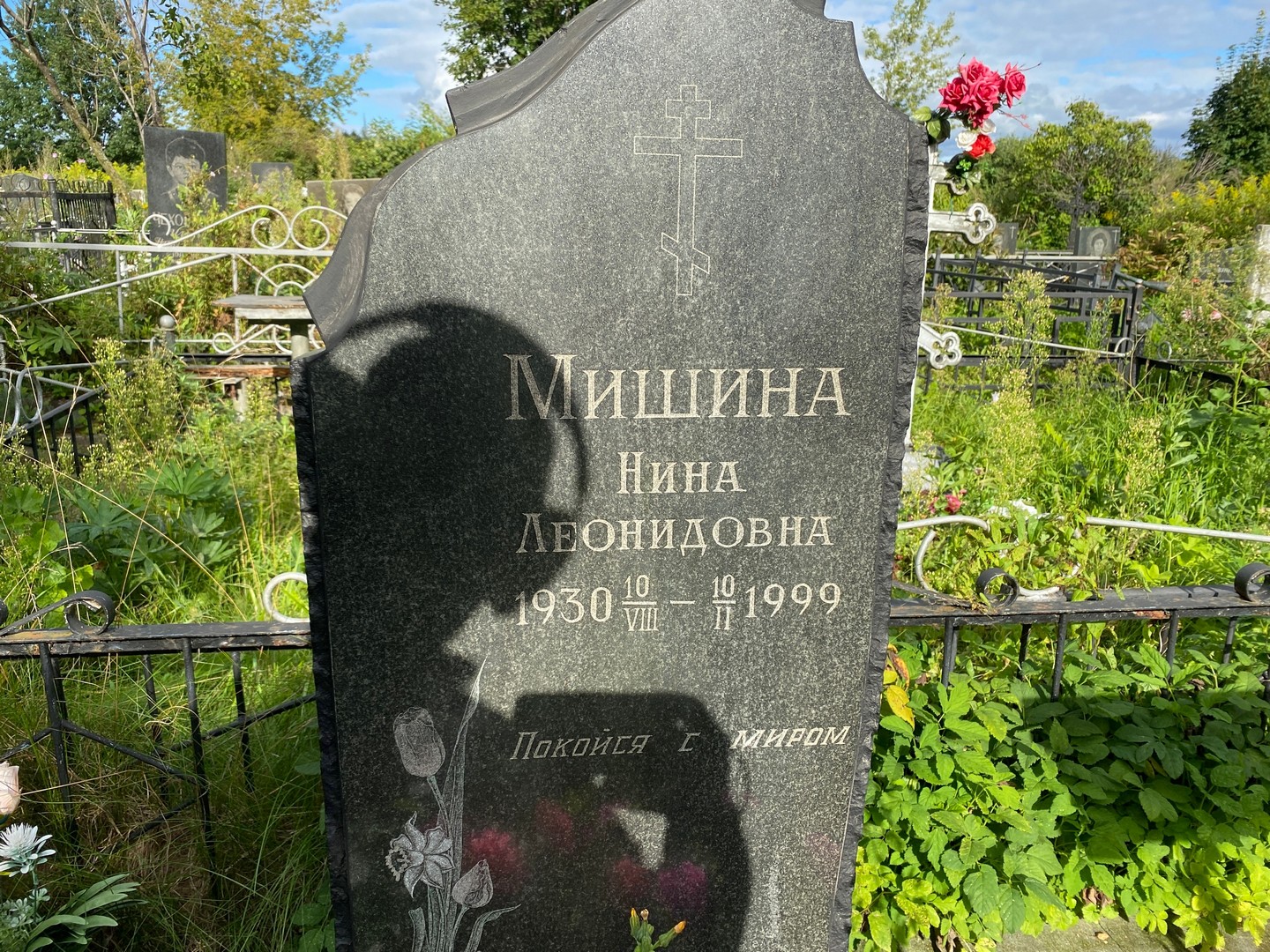 Мишина