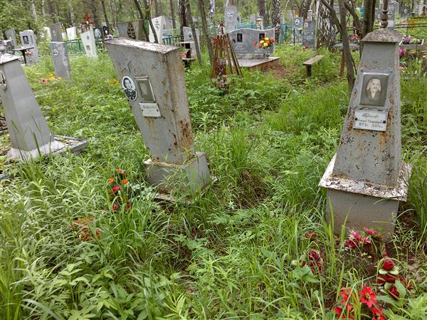 Борисов Василий Дмитриевич