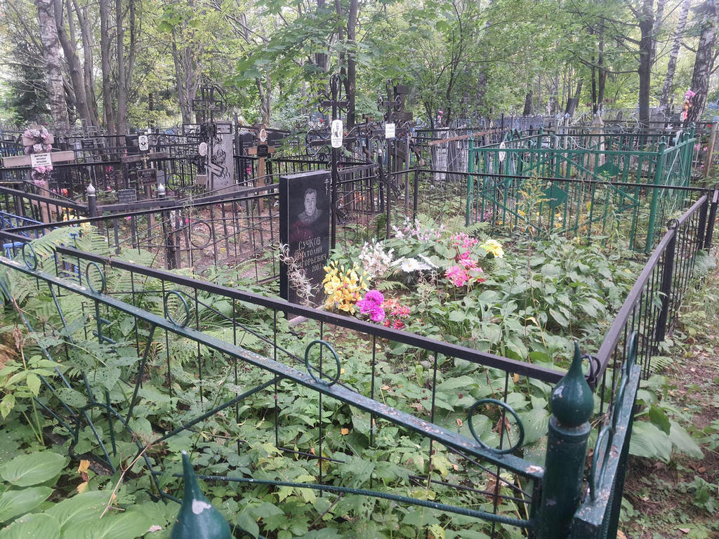Сучков Анатолий Григорьевич
