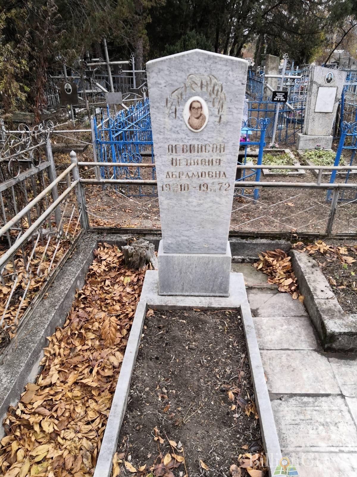Левинсон Цецилия Абрамовна