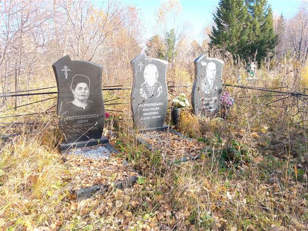 Толченицын Николай Петрович