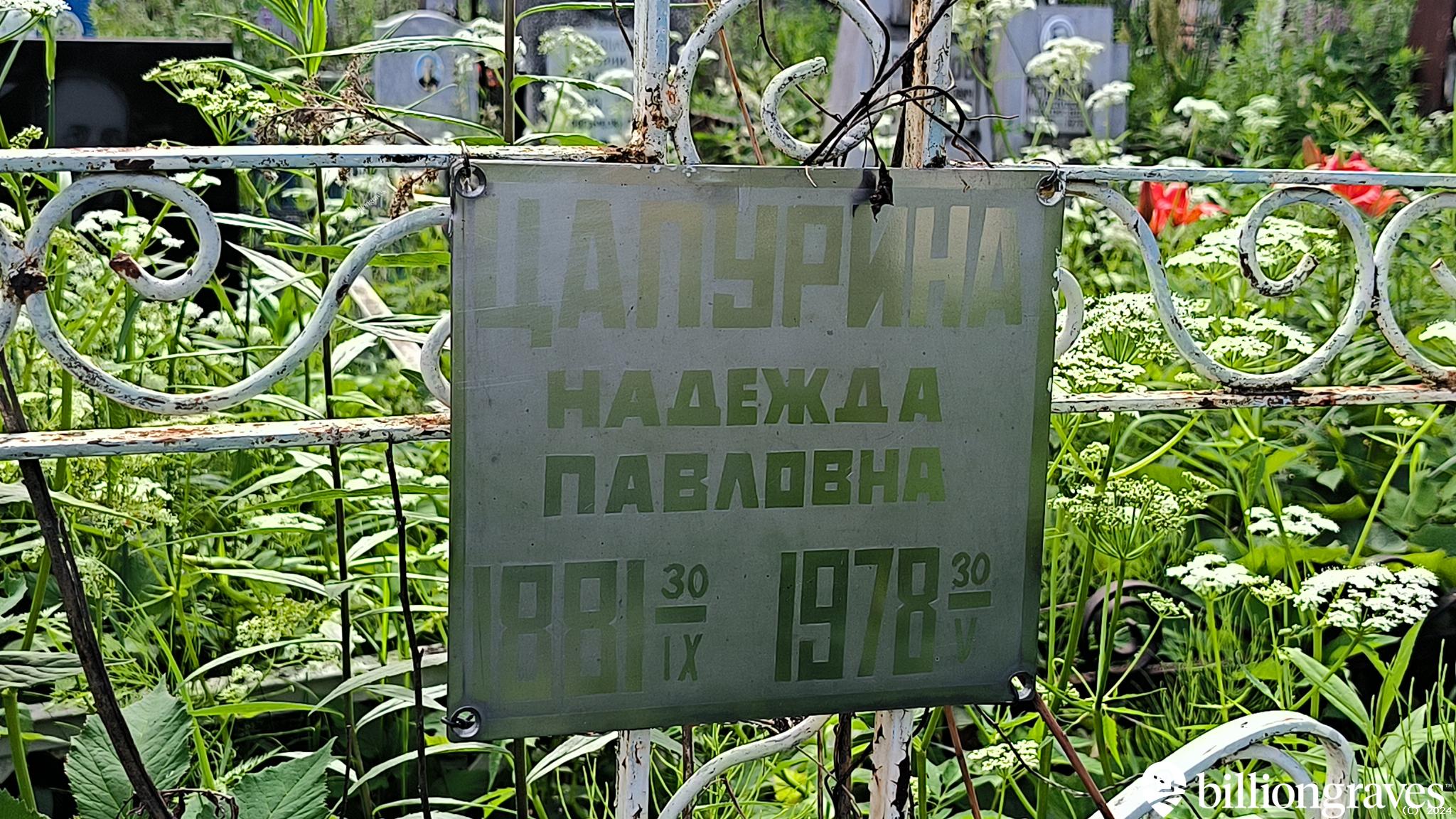 Цапурина Надежда Павловна