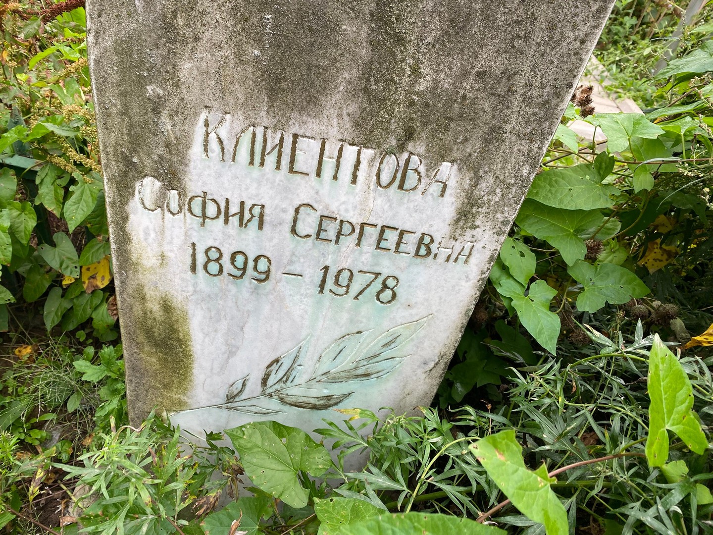 София Клиентова Сергеевна