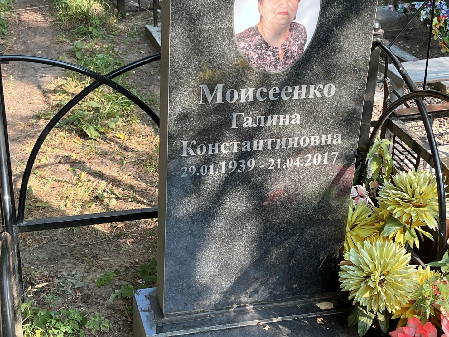 Моисеенко