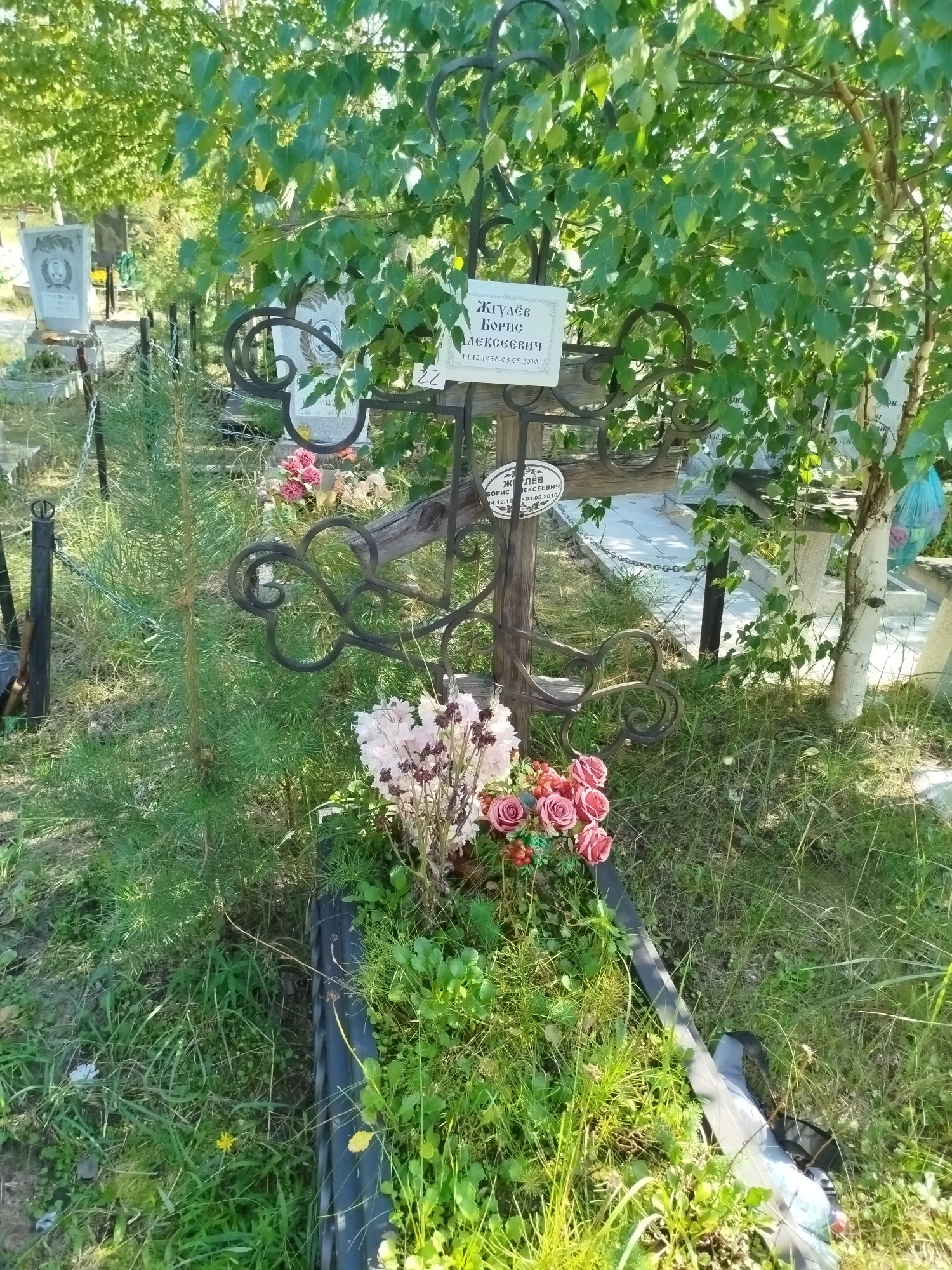 Жгулев Борис Алексеевич