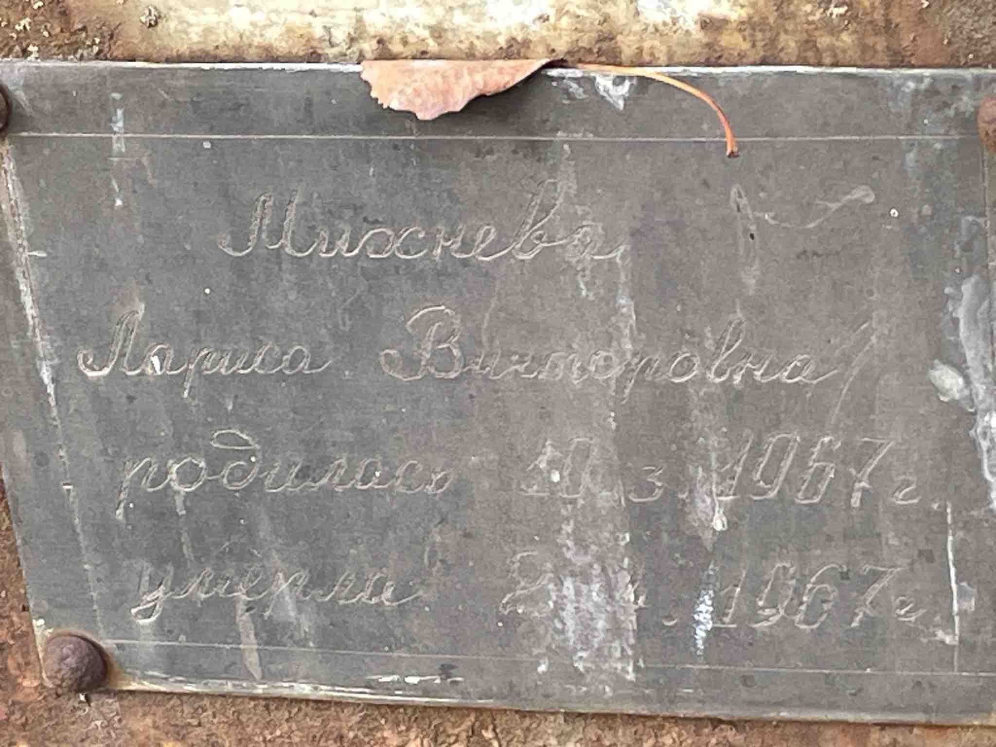 Михнева Лариса Викторовна