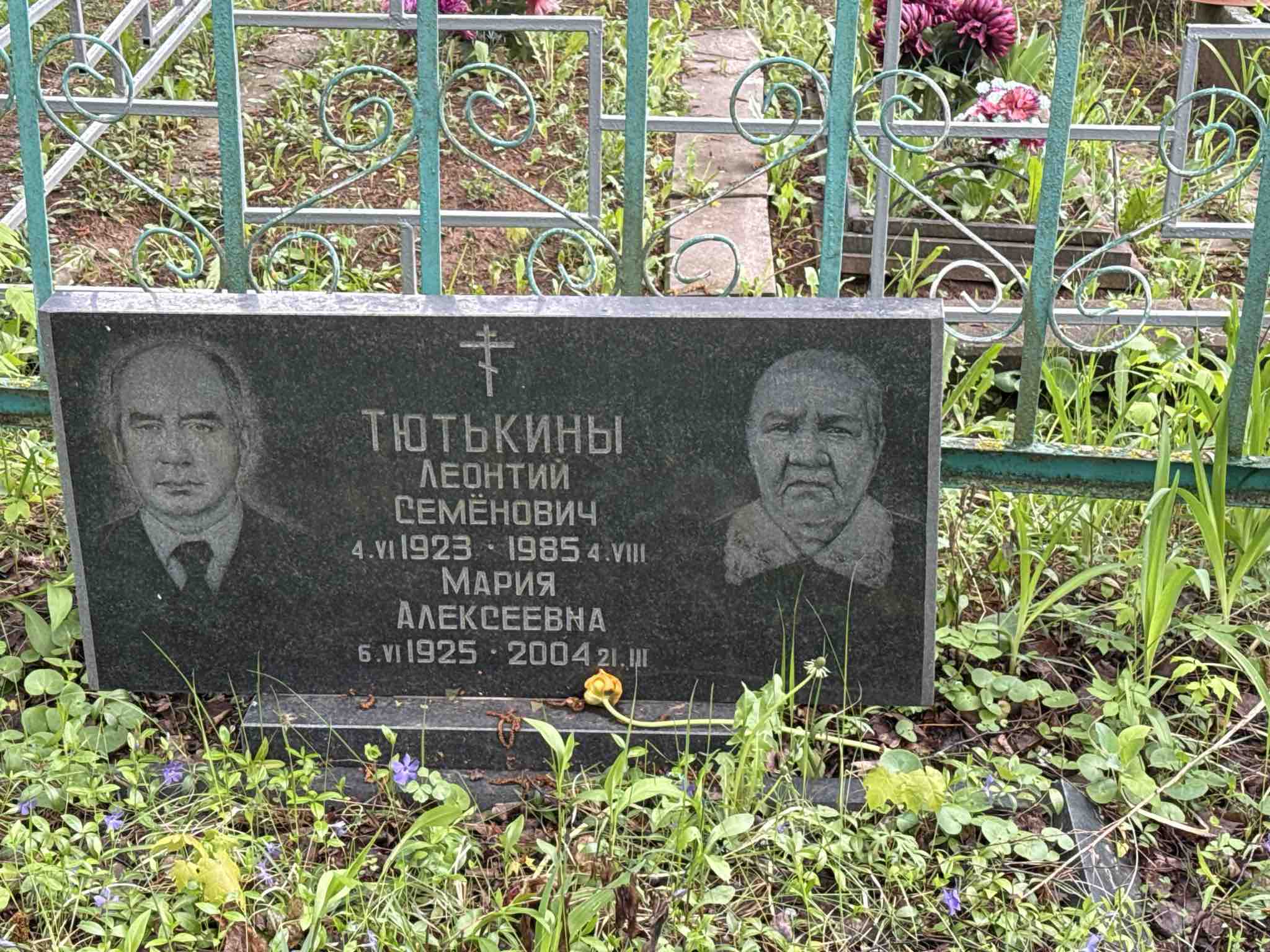 Тютькина Мария Алексеевна