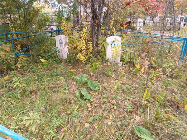 Коломеец Андрей Борисович