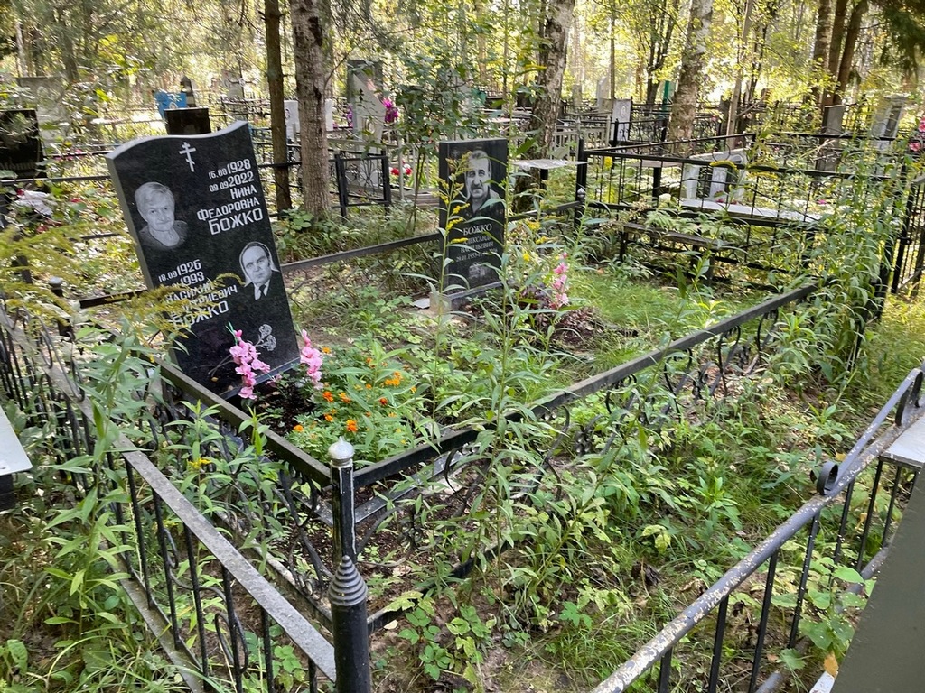 Божко Александр Васильевич