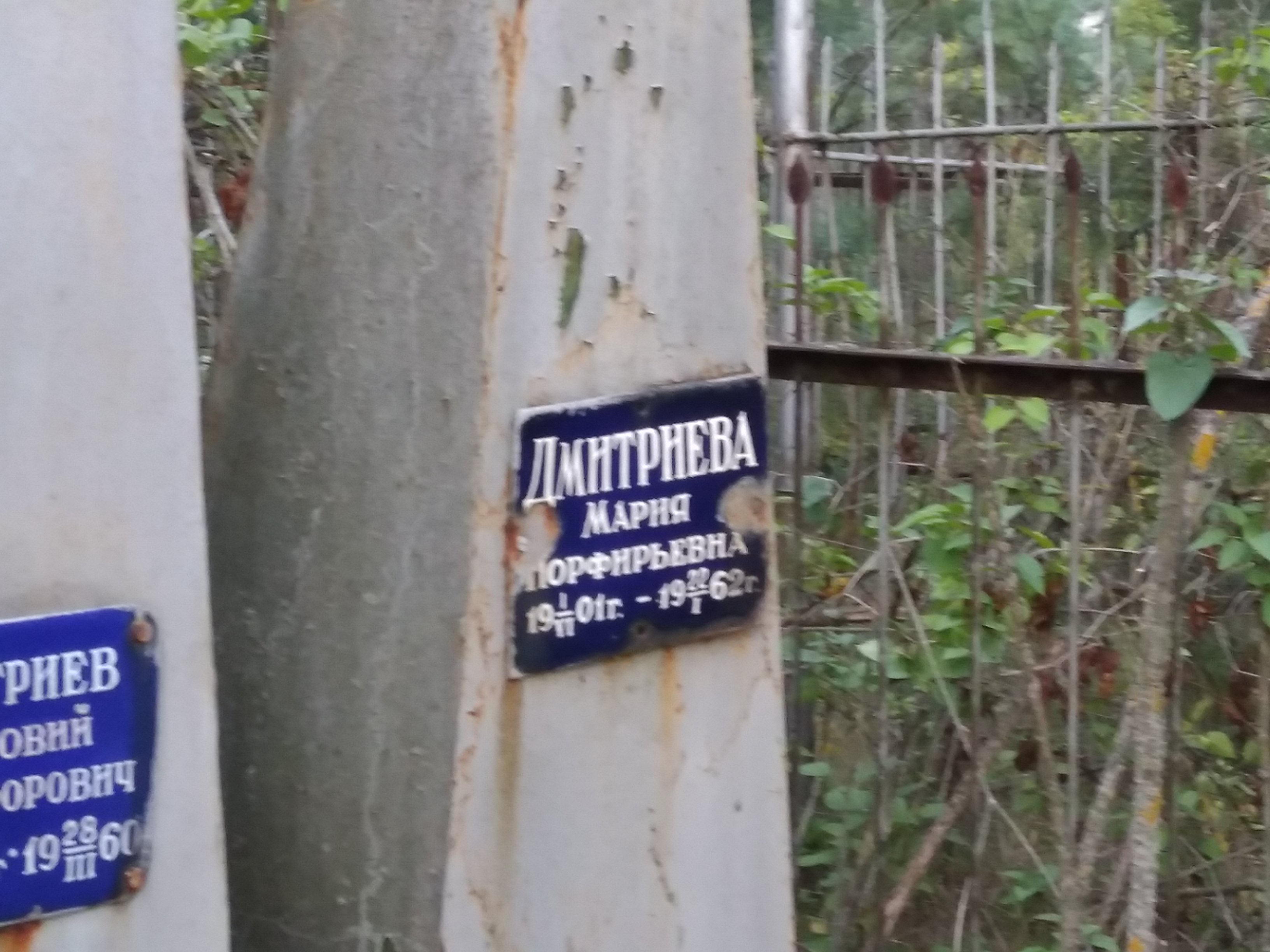 Дмитриева Мария Порфирьевна