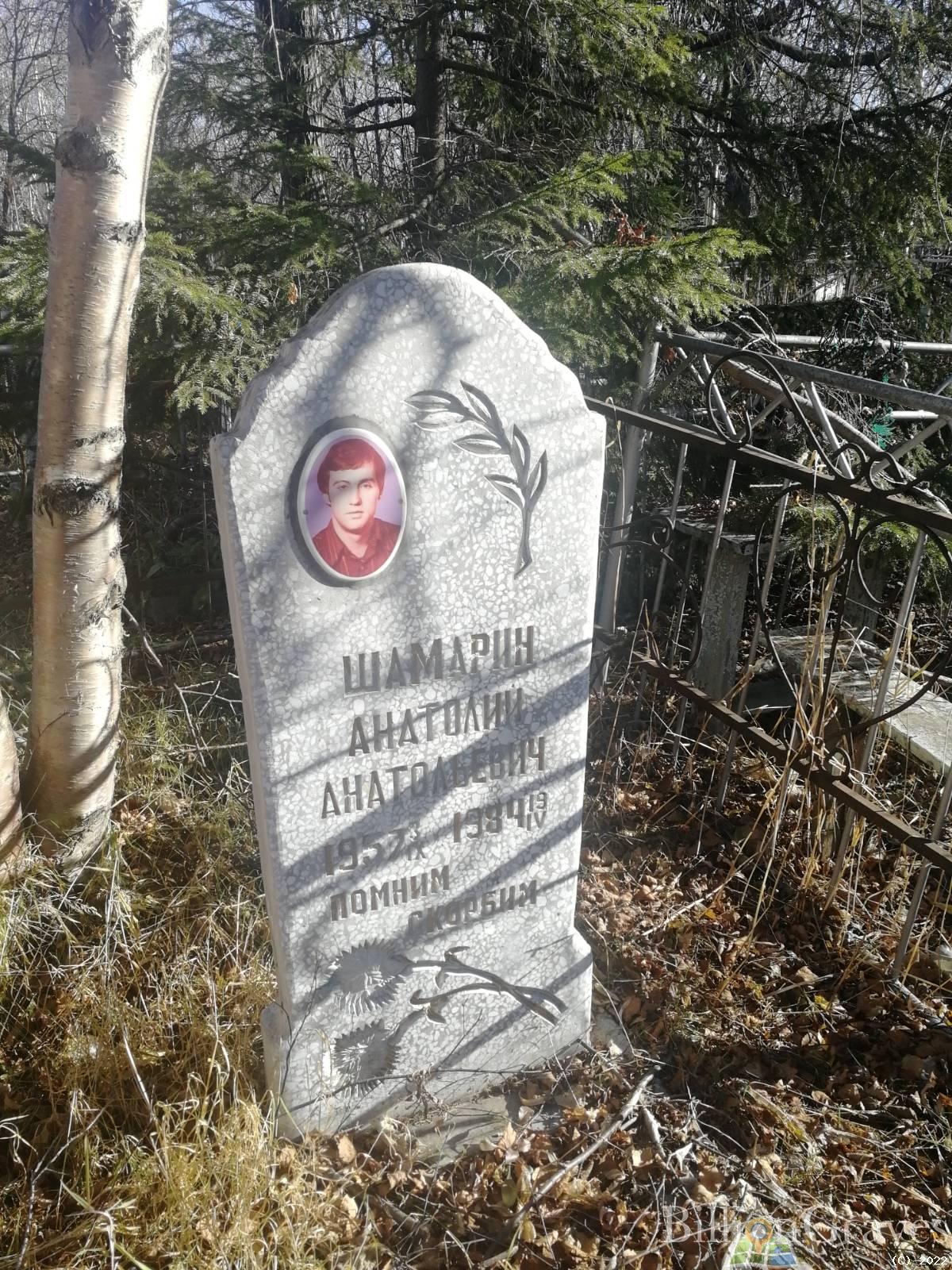 Шамарин Анатолий Анатольевич