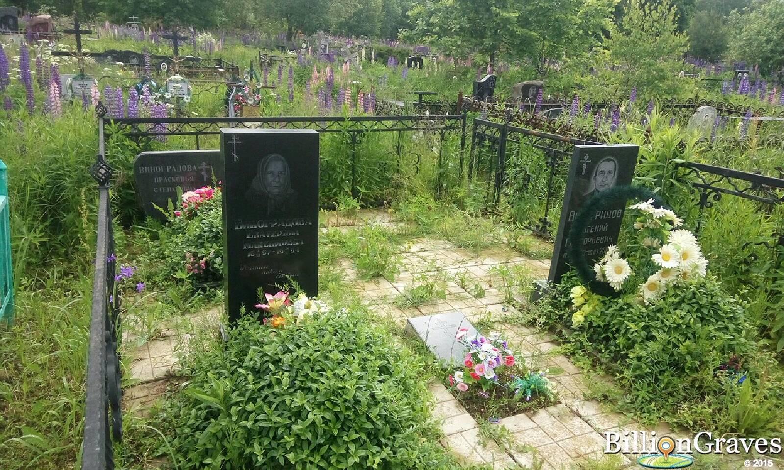 виноградов евгений григорьевич